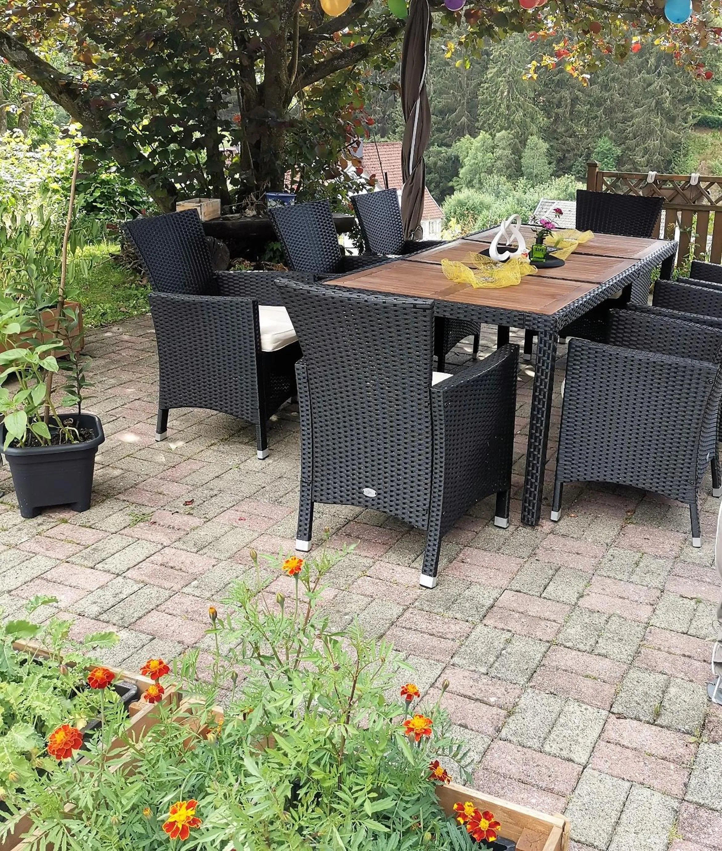 Garden in Hotel zur Schmiede