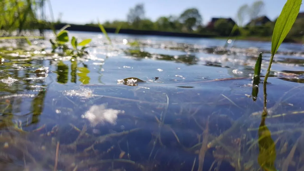 Day in Hotel zur Schmiede