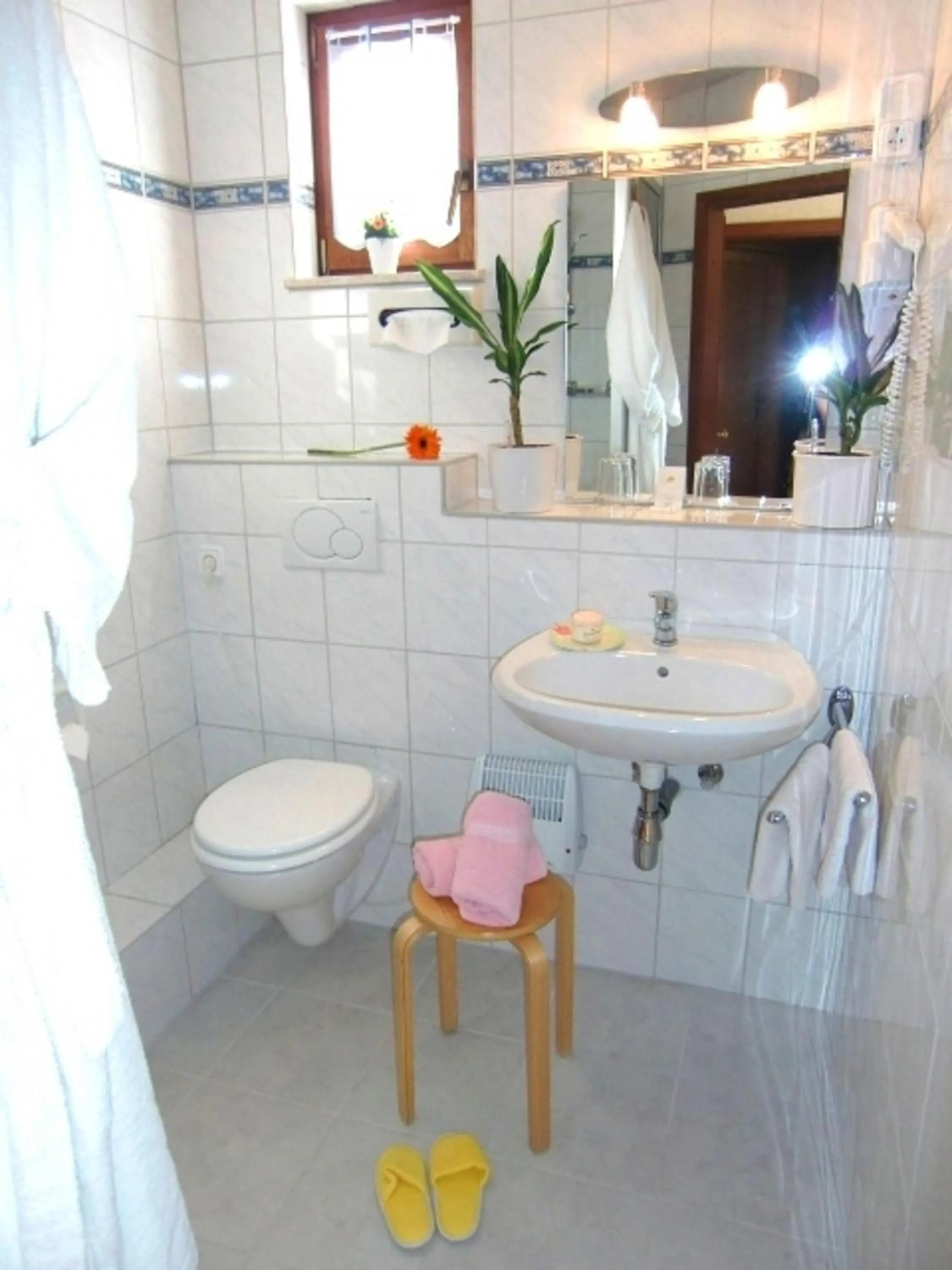 Toilet in Hotel zur Schmiede