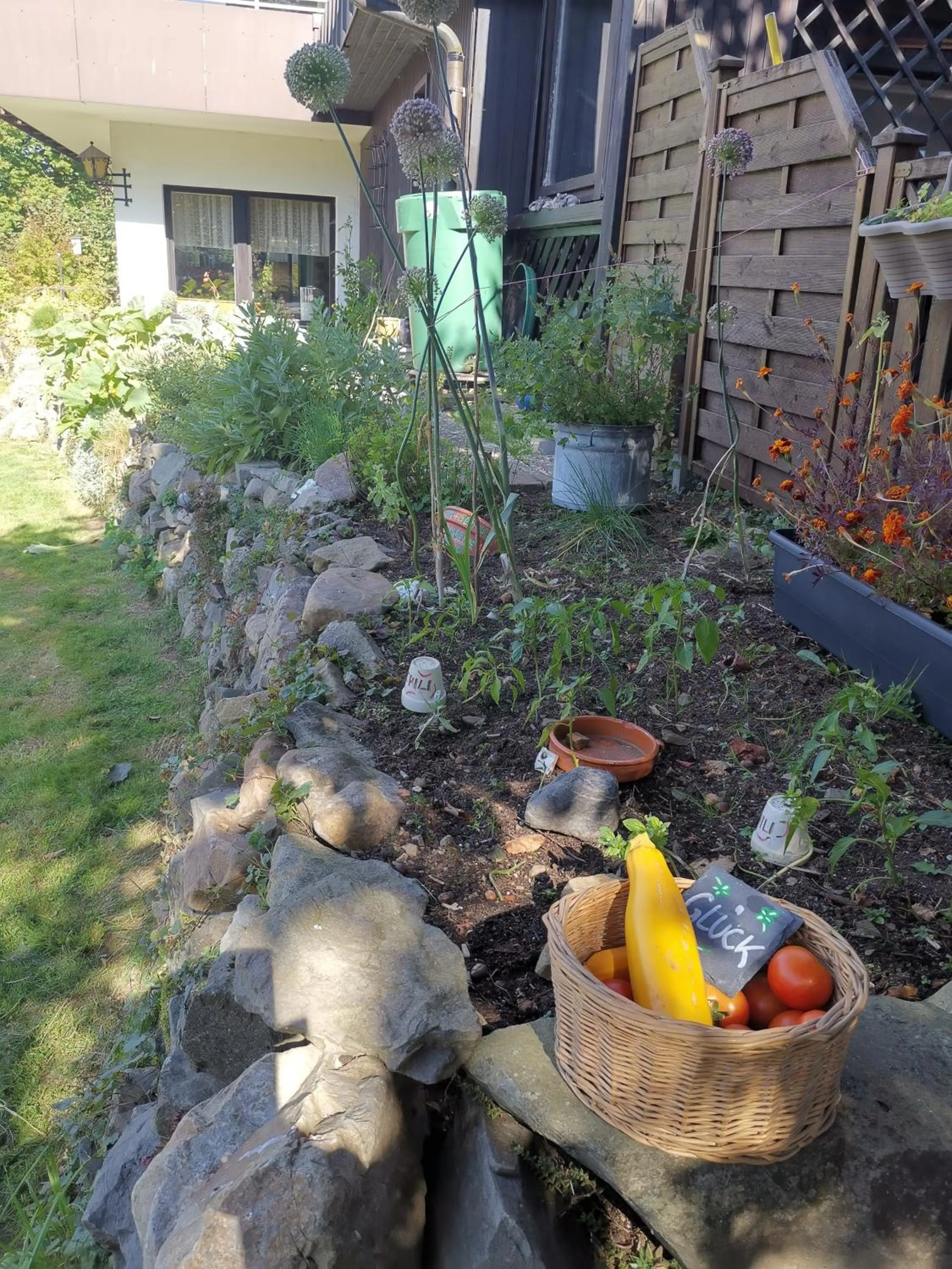 Day in Hotel zur Schmiede