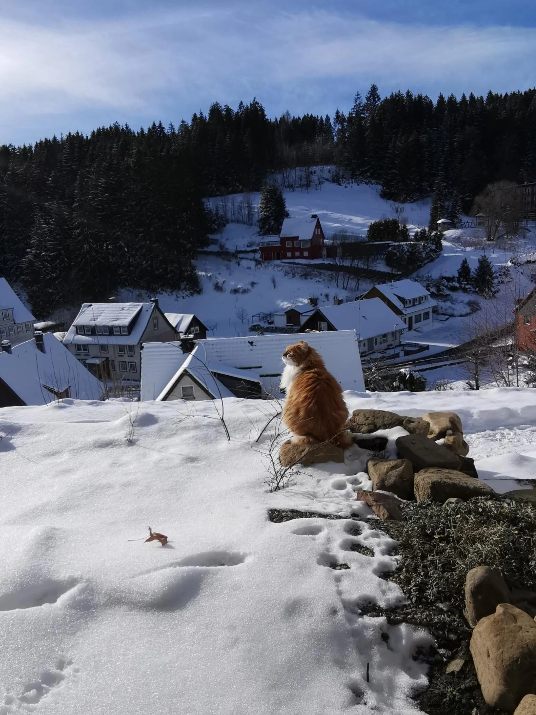 Winter in Hotel zur Schmiede