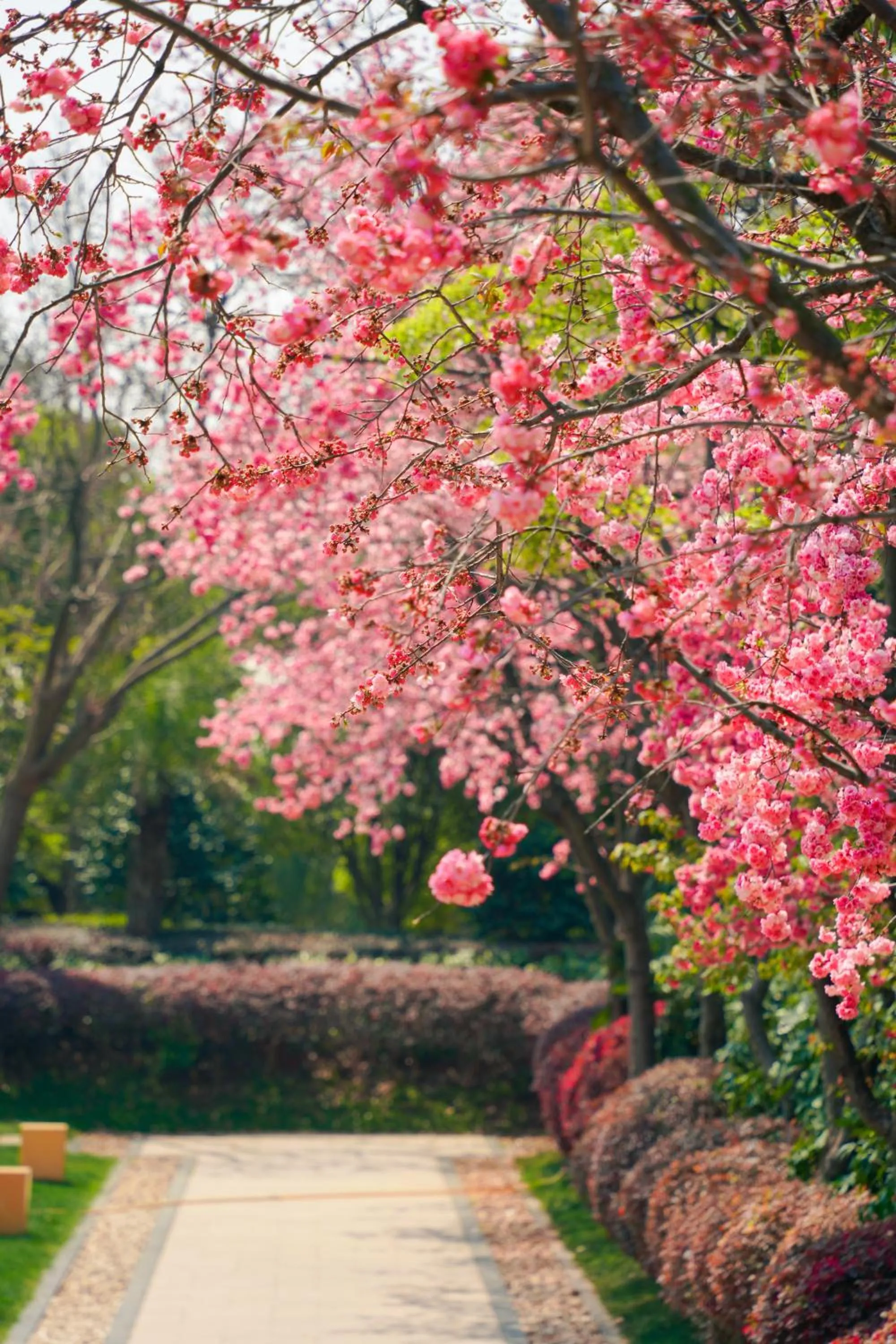 Property building in InterContinental Kunming by IHG