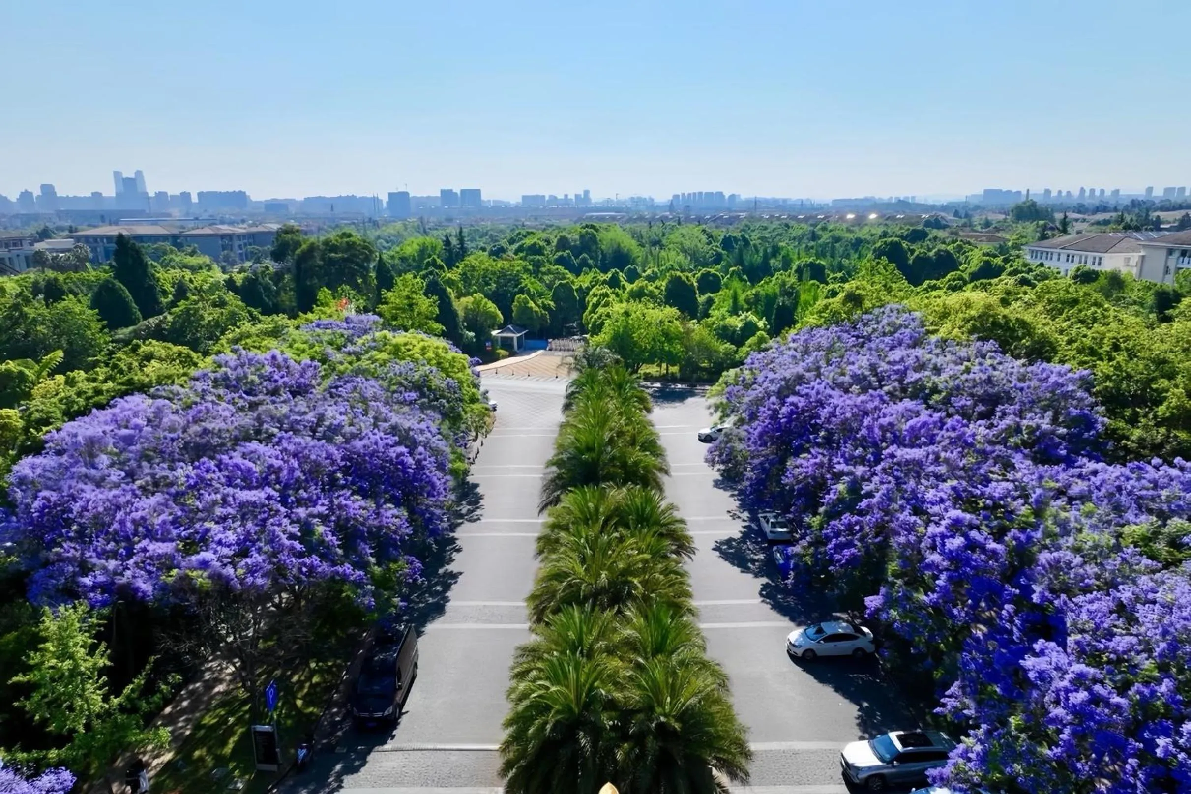 Spring in InterContinental Kunming by IHG