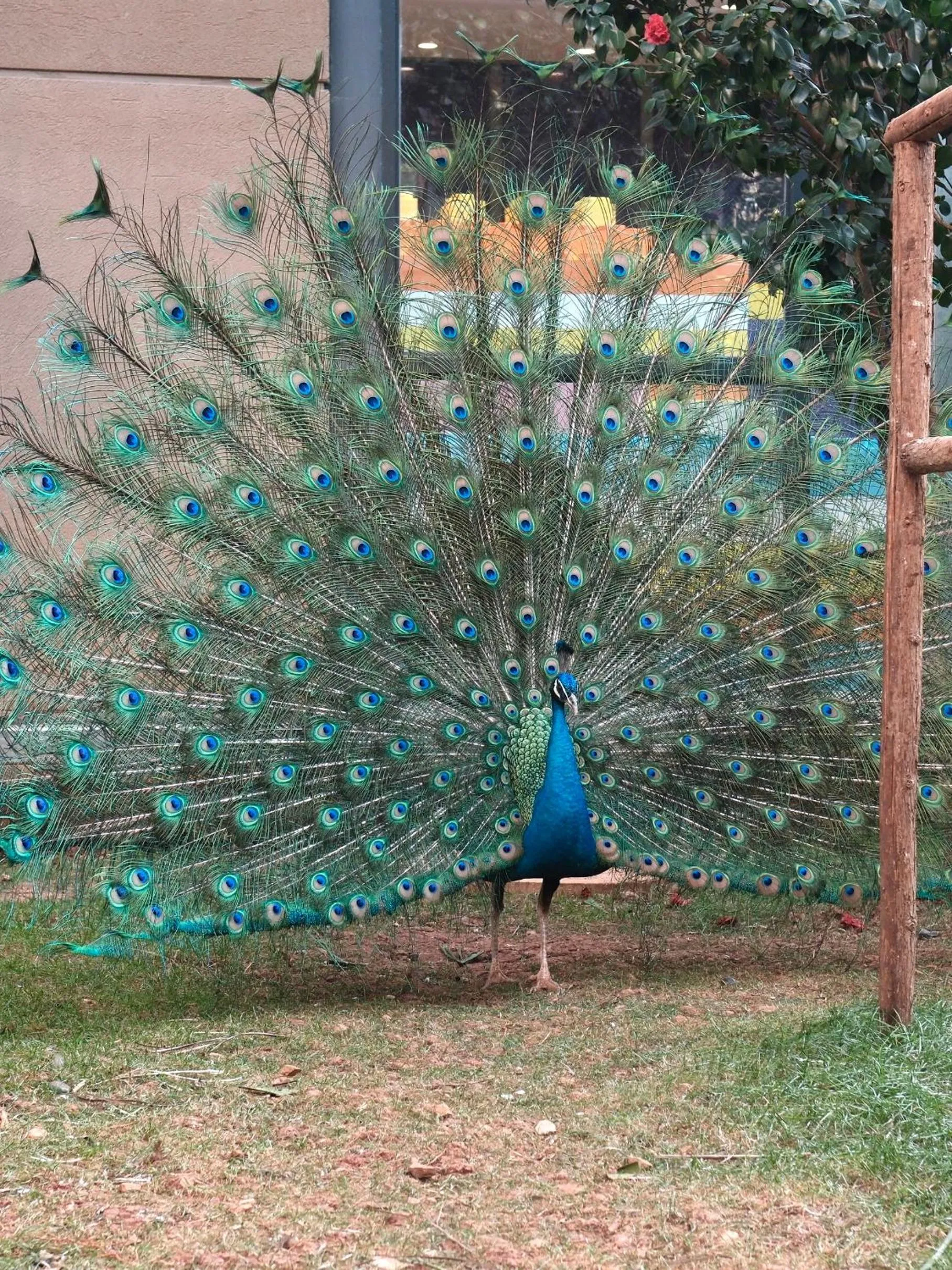 Children play ground in InterContinental Kunming by IHG