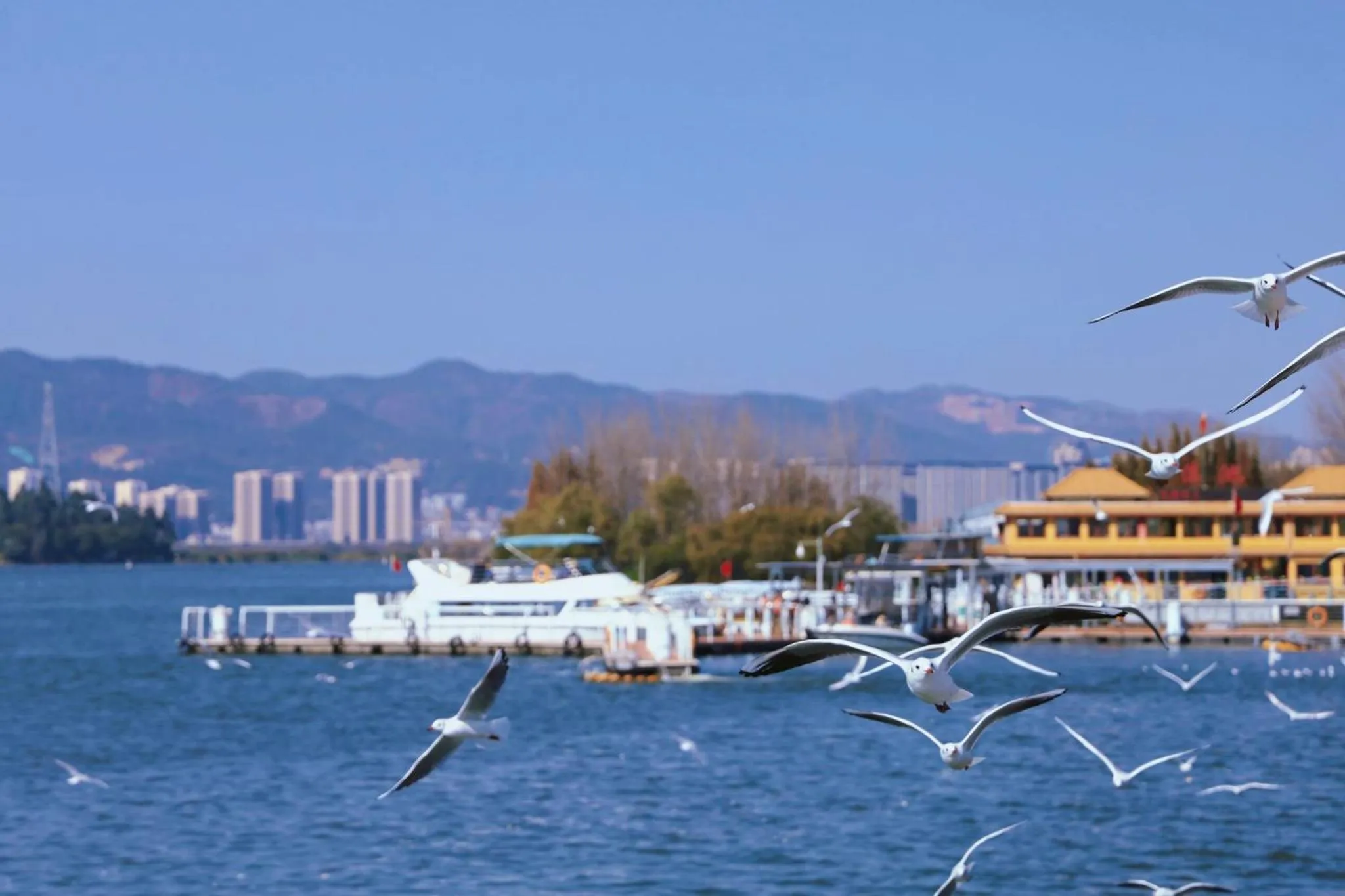 Nearby landmark in InterContinental Kunming by IHG