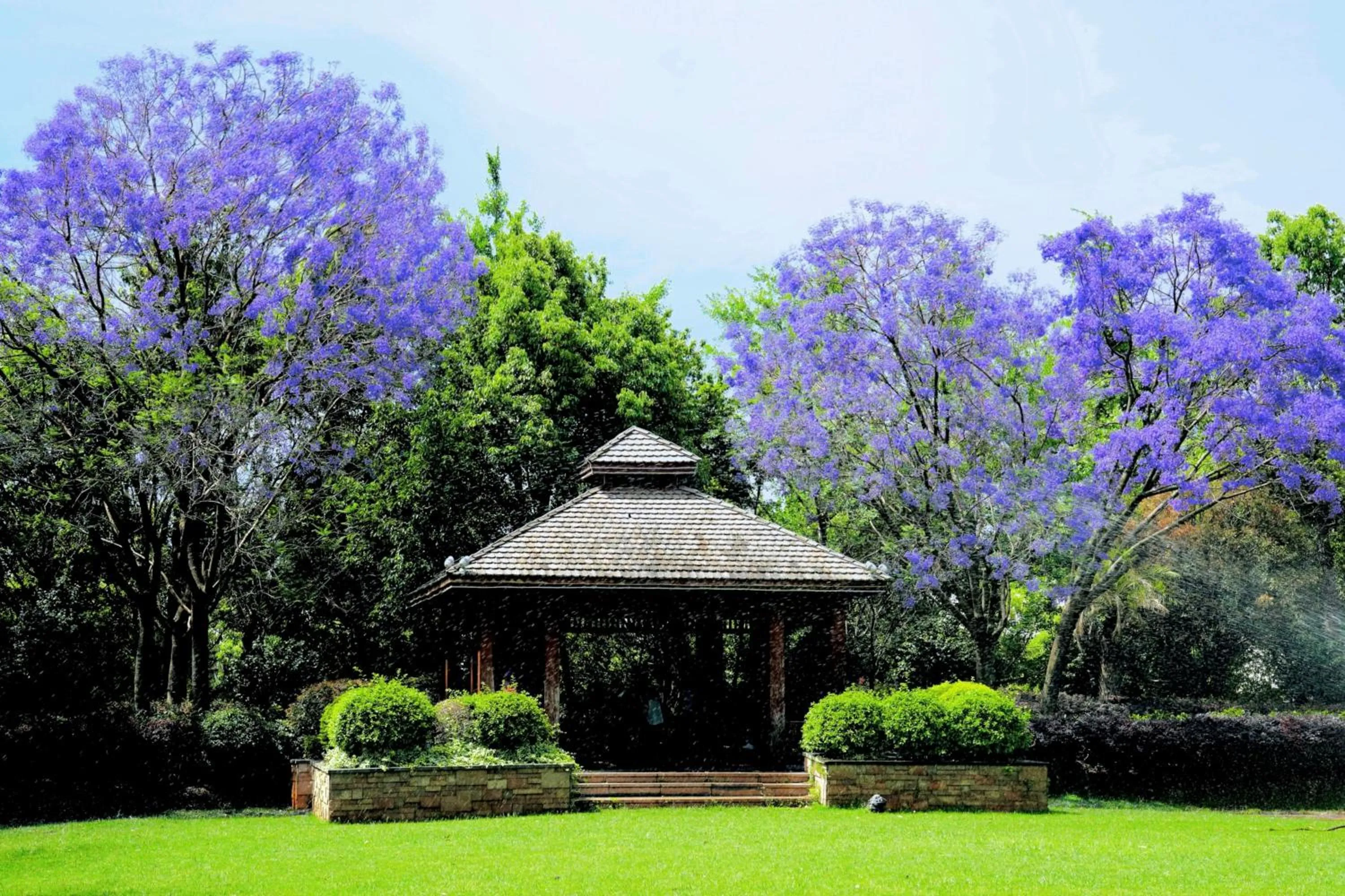 Spring in InterContinental Kunming by IHG