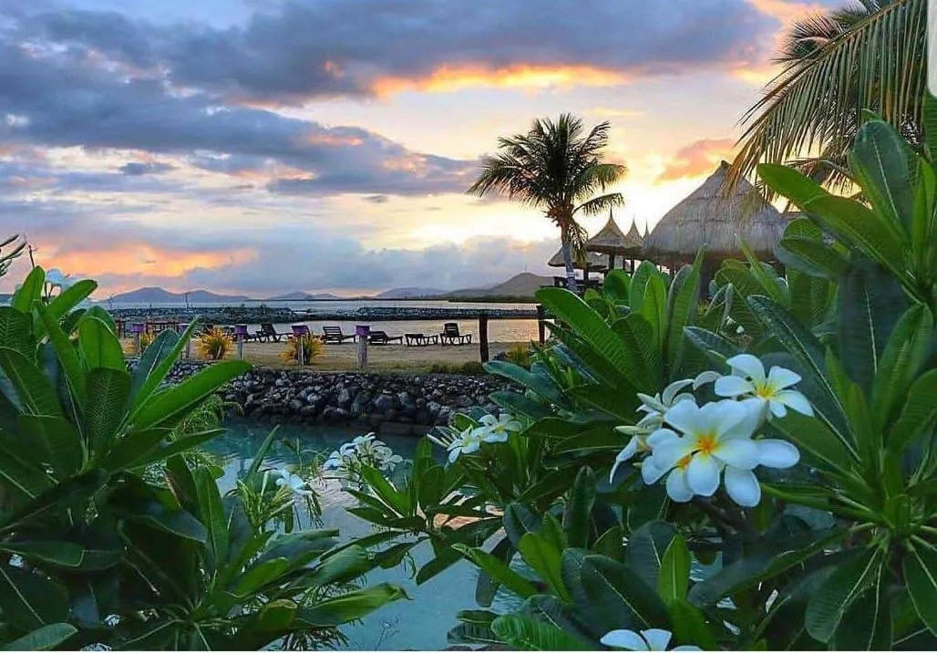 Garden in Golden Point Resort