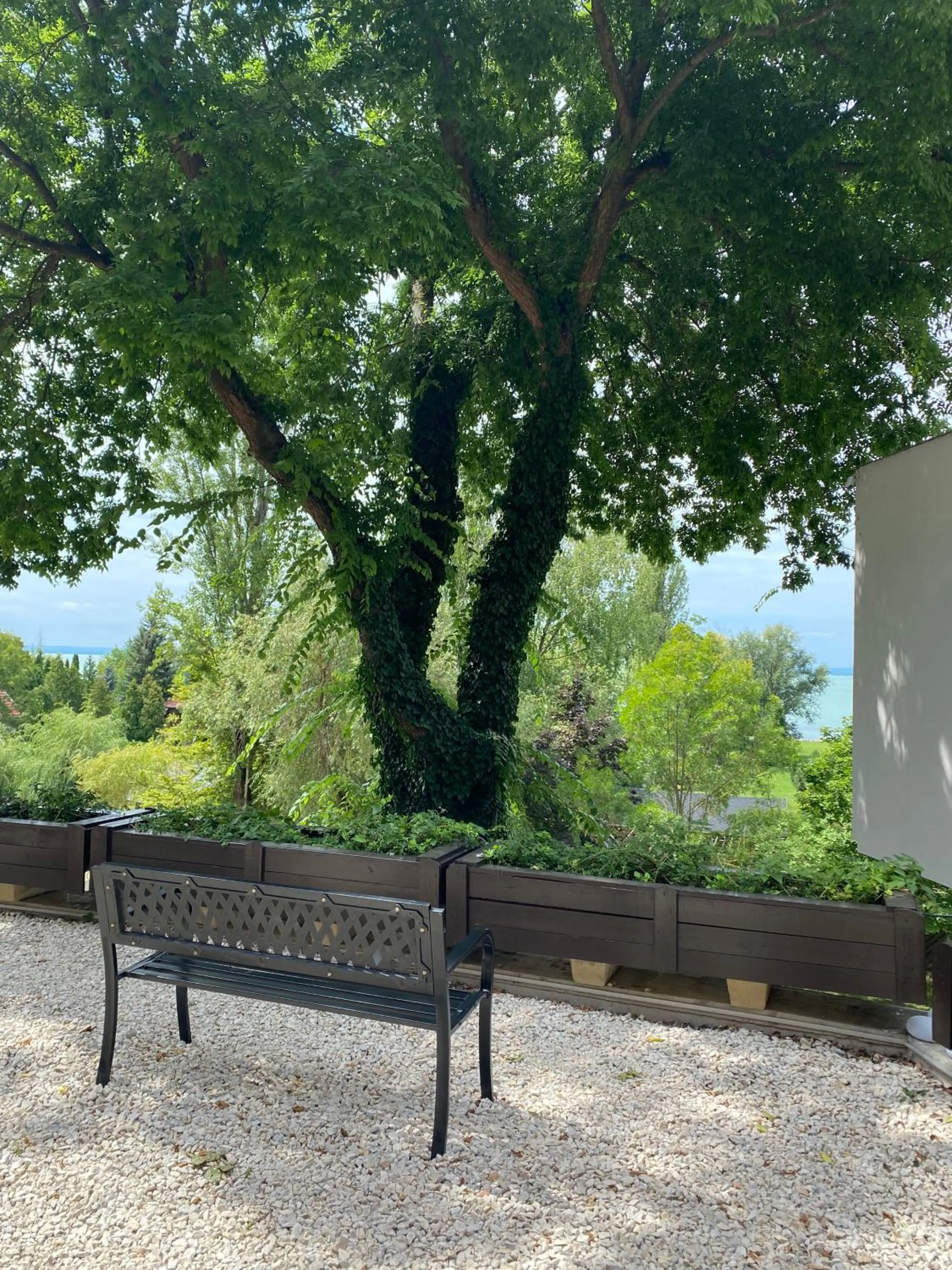 View (from property/room) in Xendala Panzió