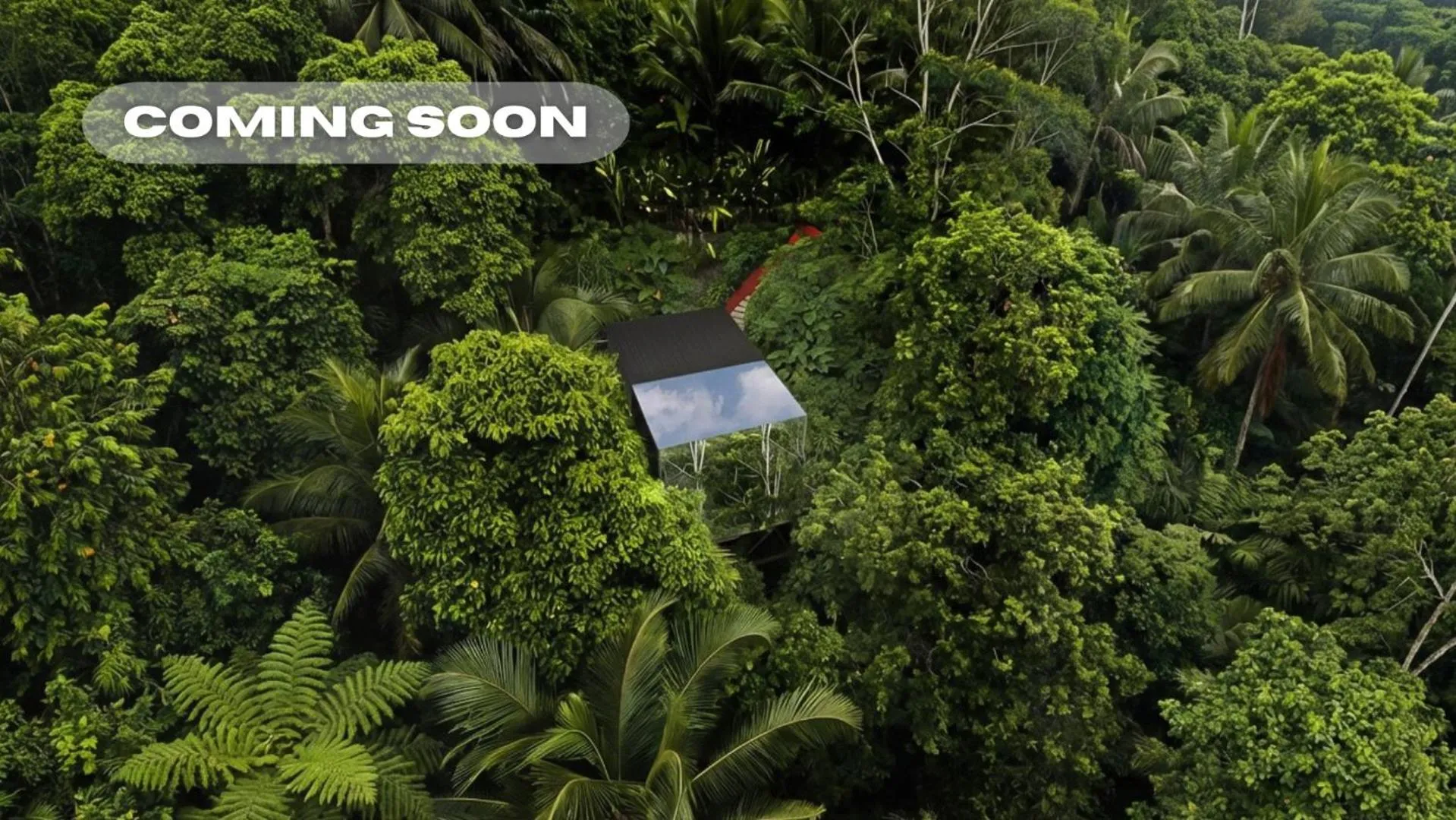 View (from property/room) in K Club Ubud