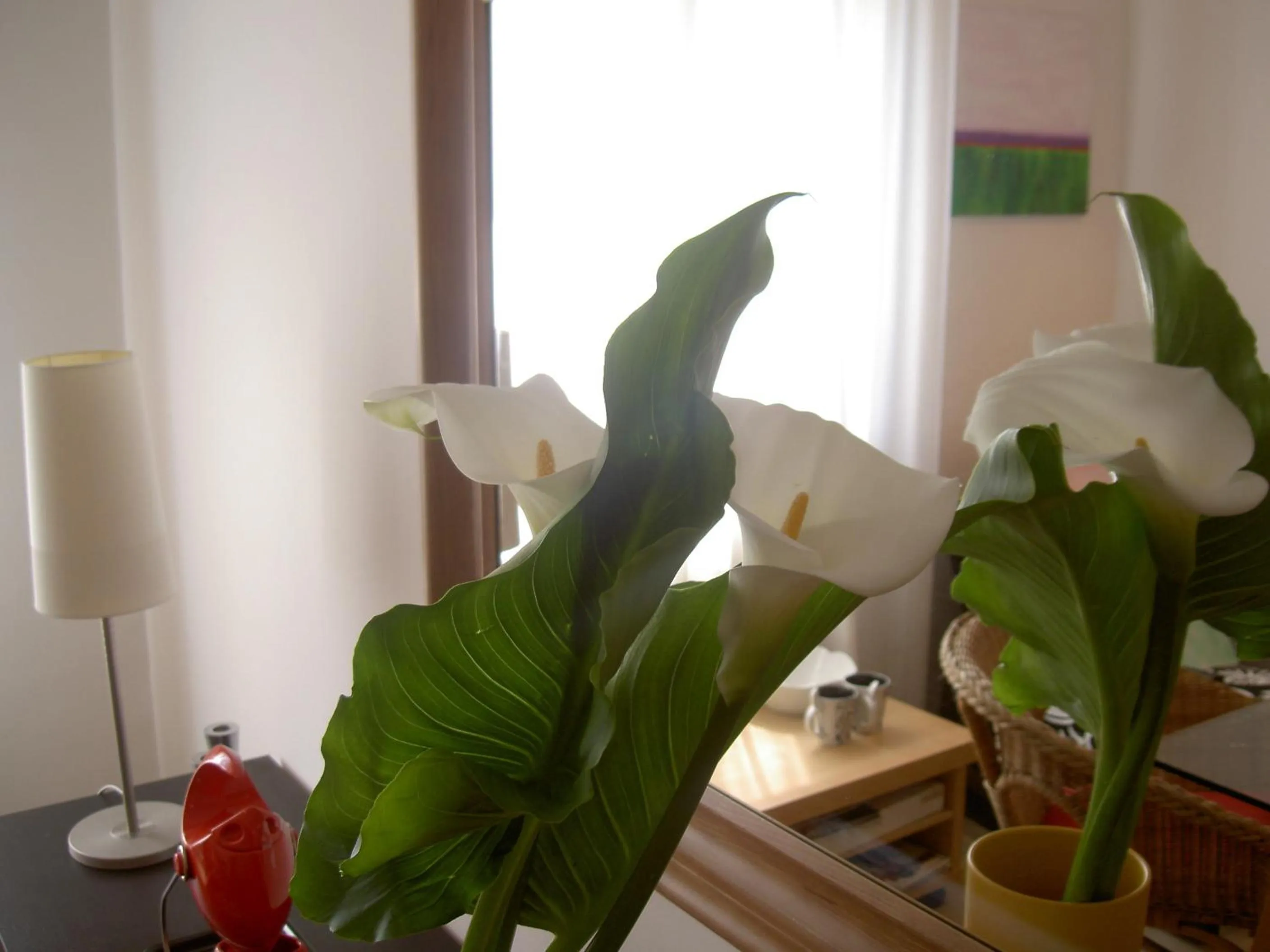 Lobby or reception in B&B A Casa Romar