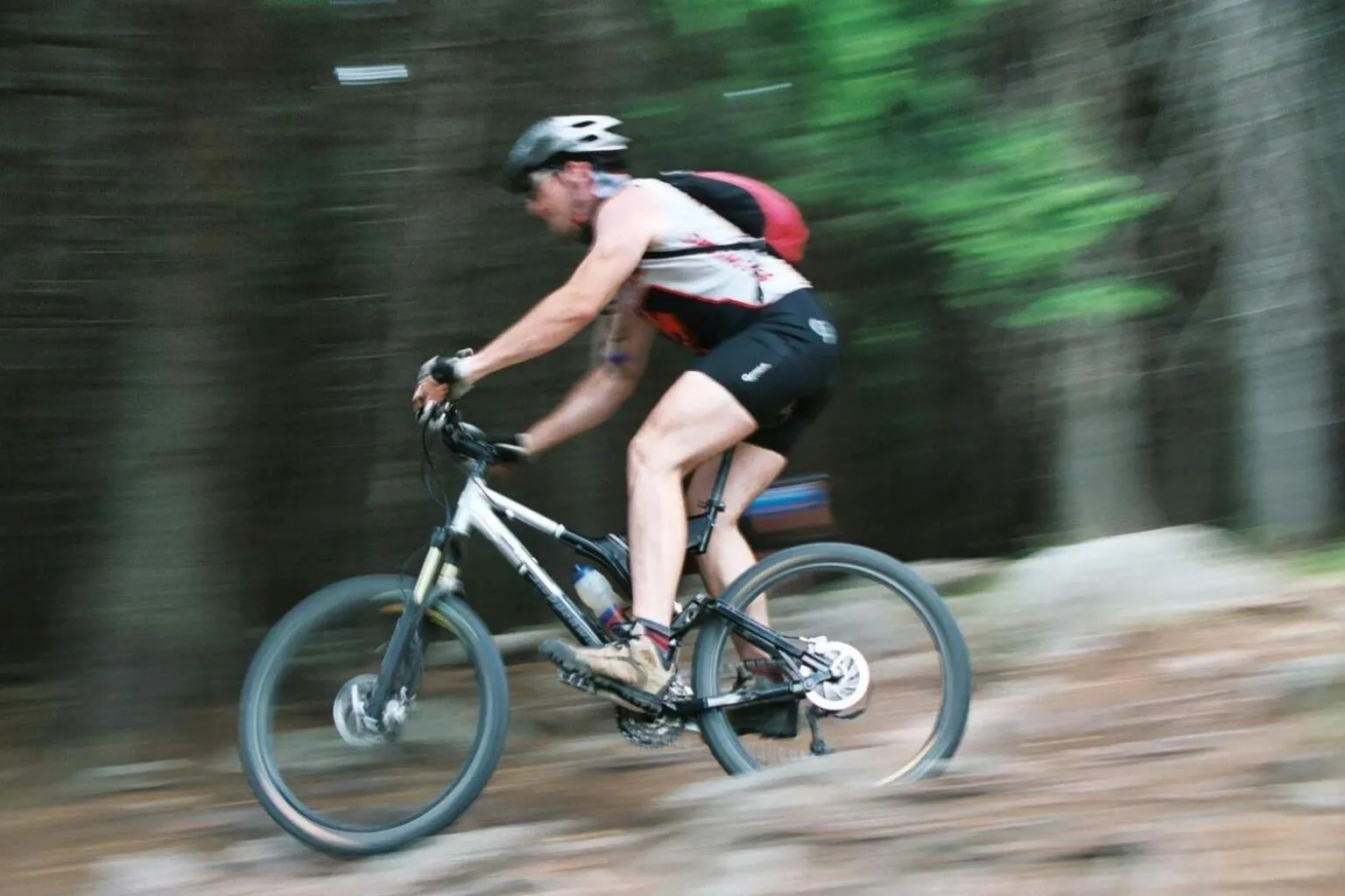 Cycling in Landhaus Zu den Rothen Forellen