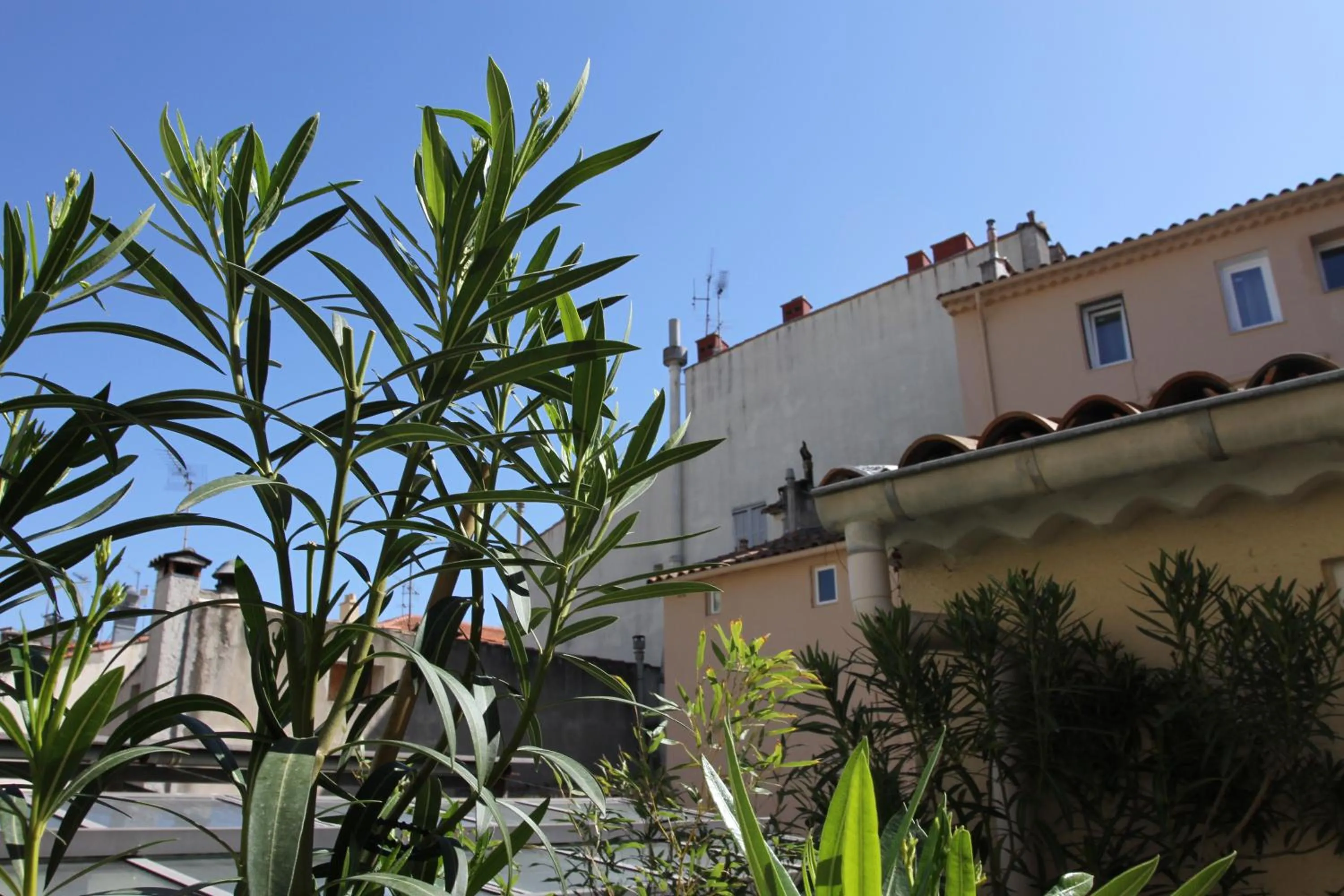 Balcony/Terrace in Irin Hotel