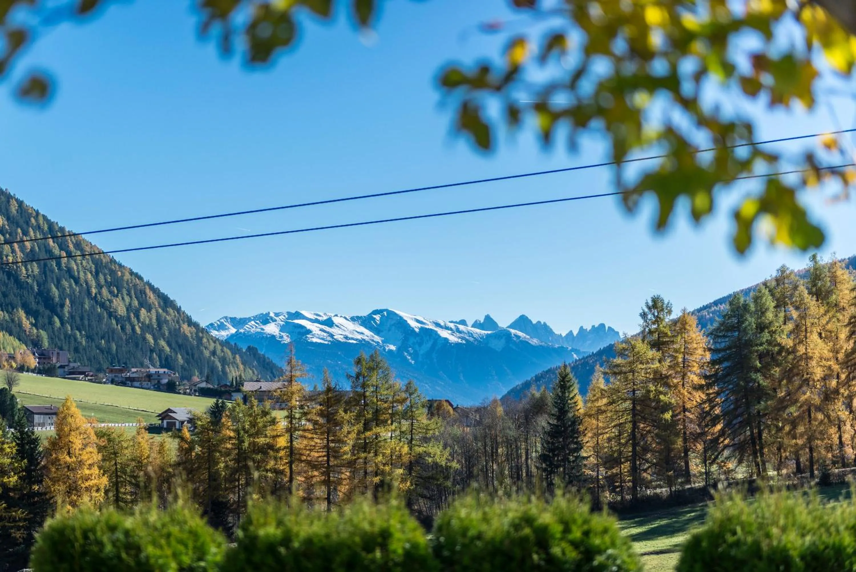 Natural landscape in Hotel Kaserhof