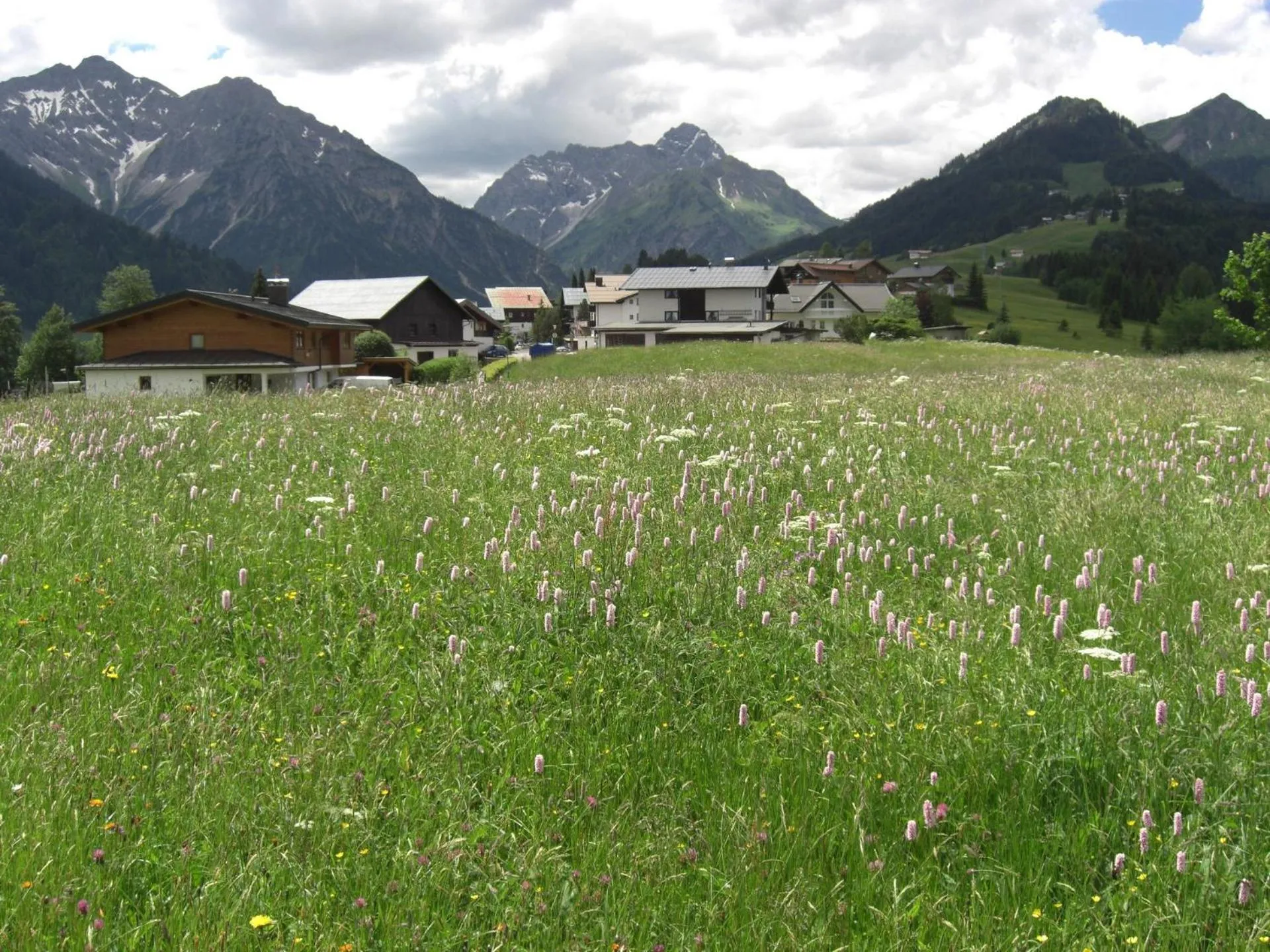 View (from property/room) in Gästehaus Boersch