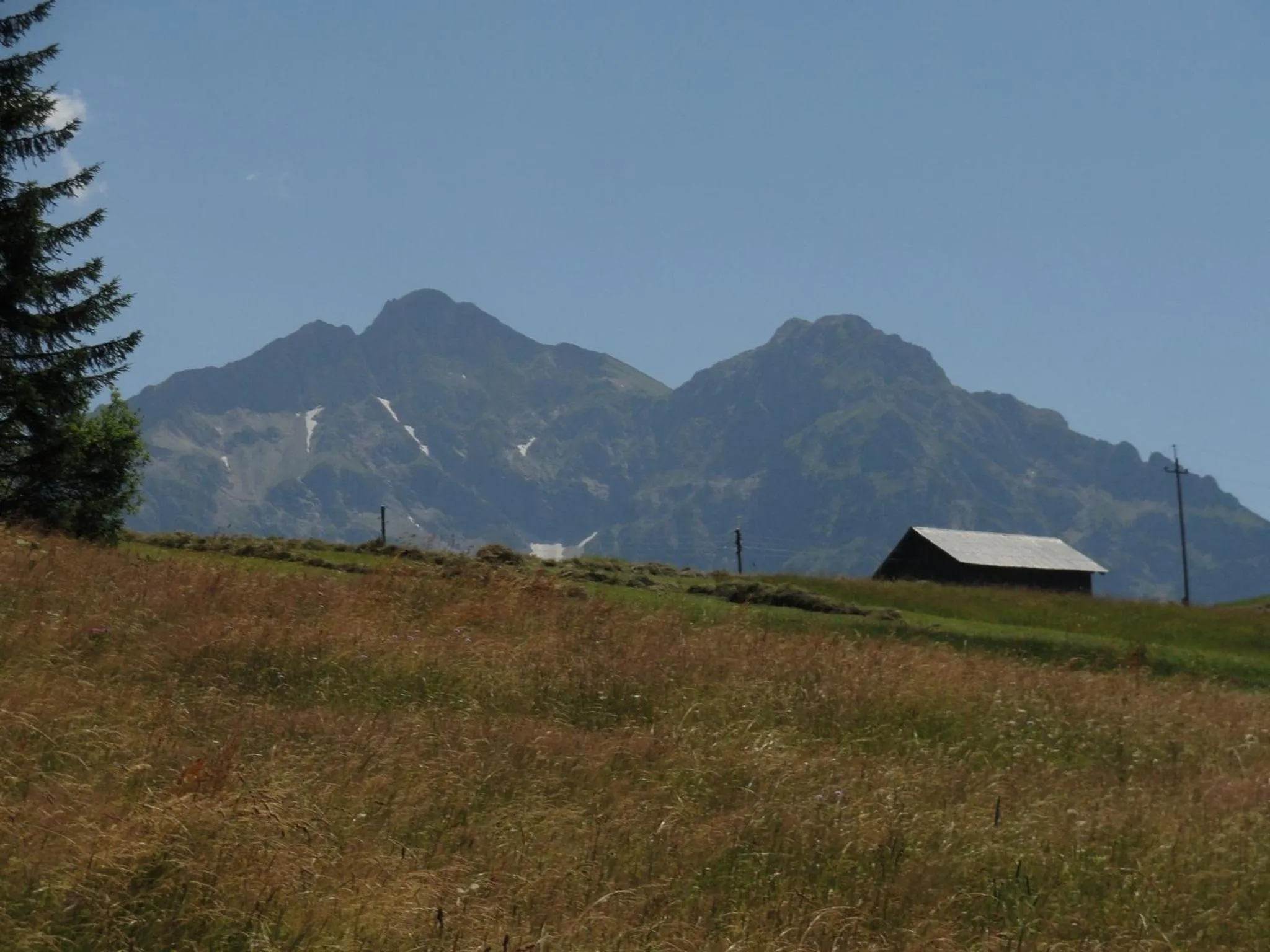 Summer in Gästehaus Boersch