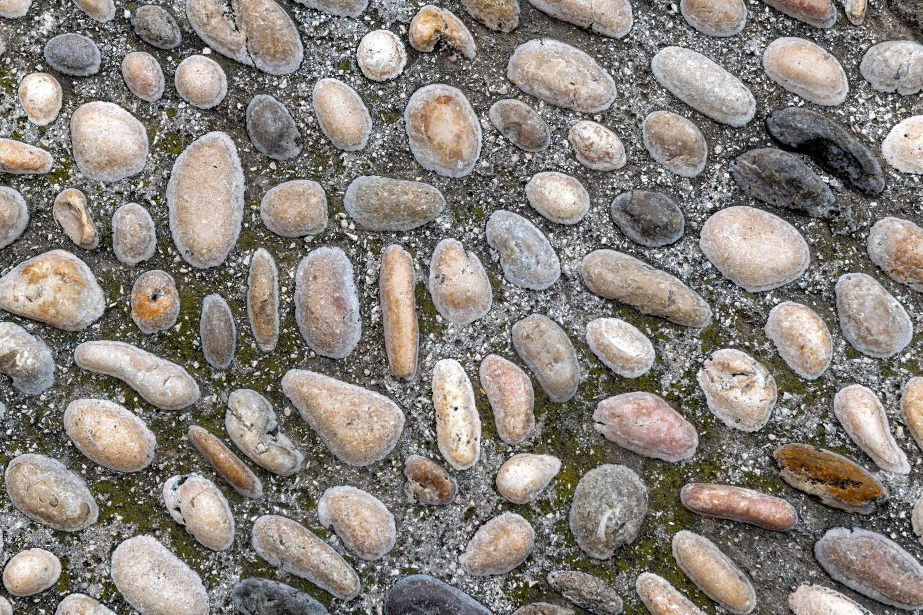 Decorative detail in Hostal Altea House
