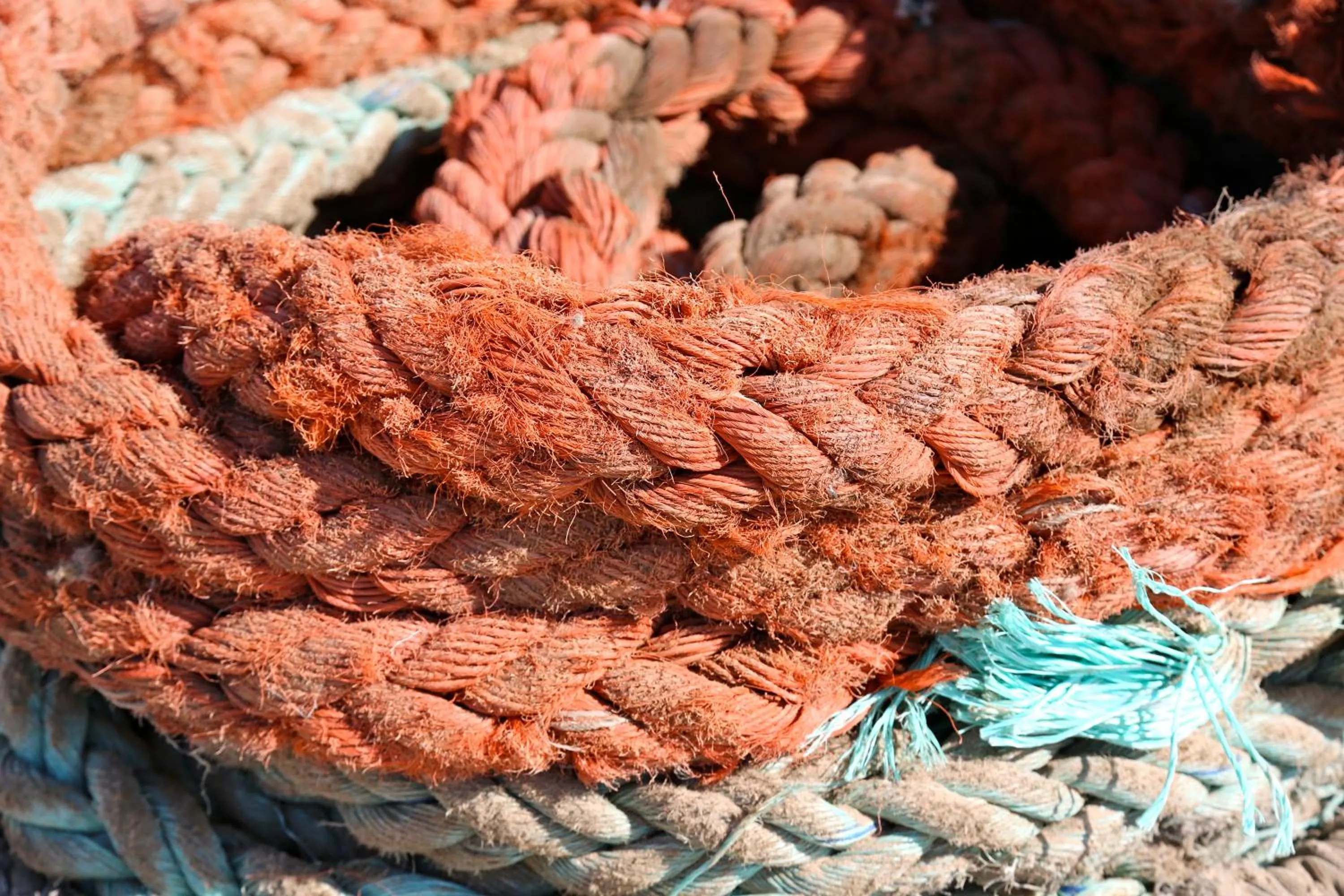 Other in Pelican Point Lodge