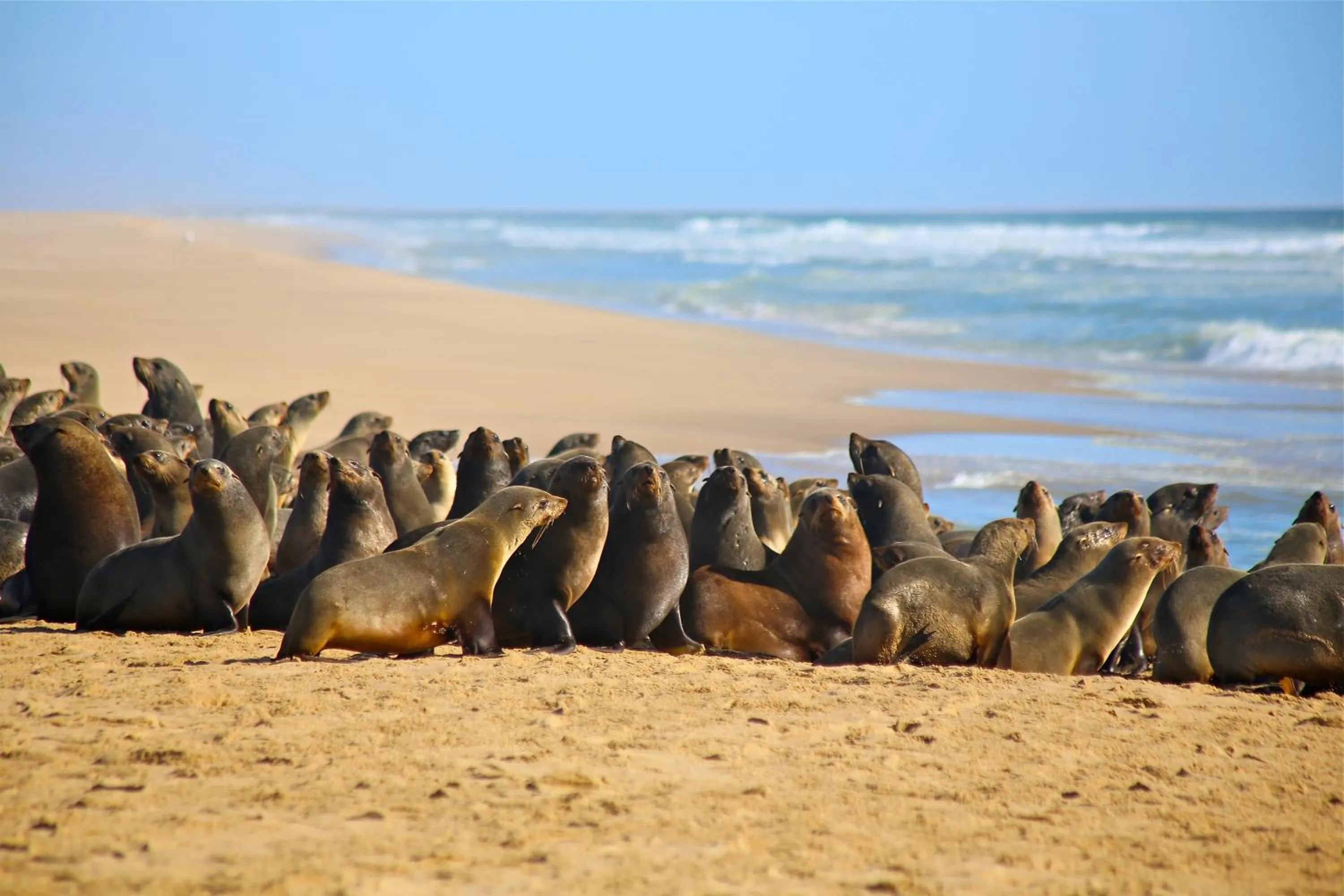 Day in Pelican Point Lodge