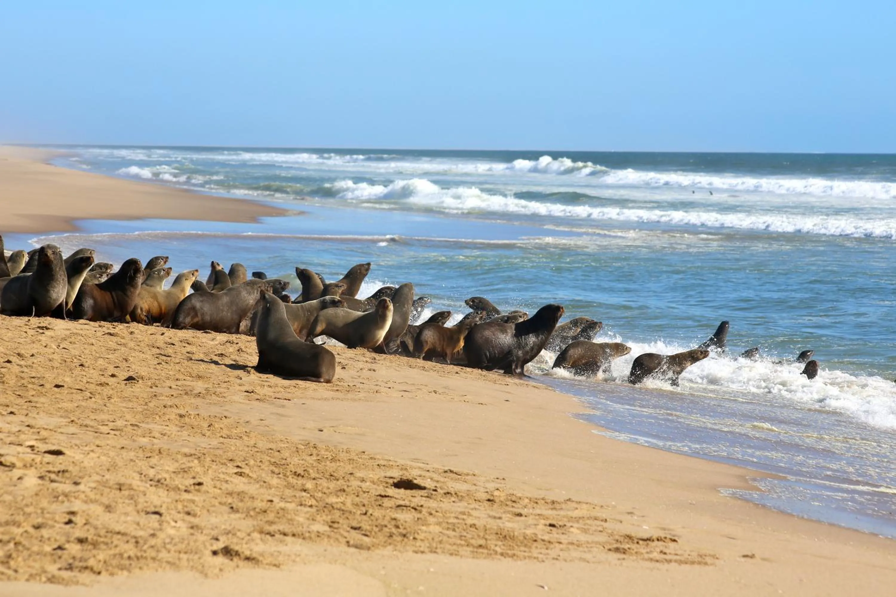 Day in Pelican Point Lodge