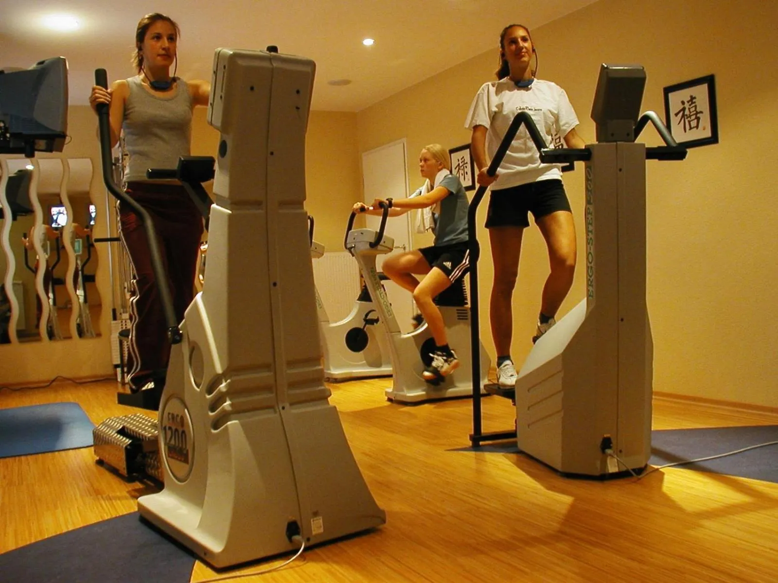 Fitness centre/facilities in Ringhotel Gardels