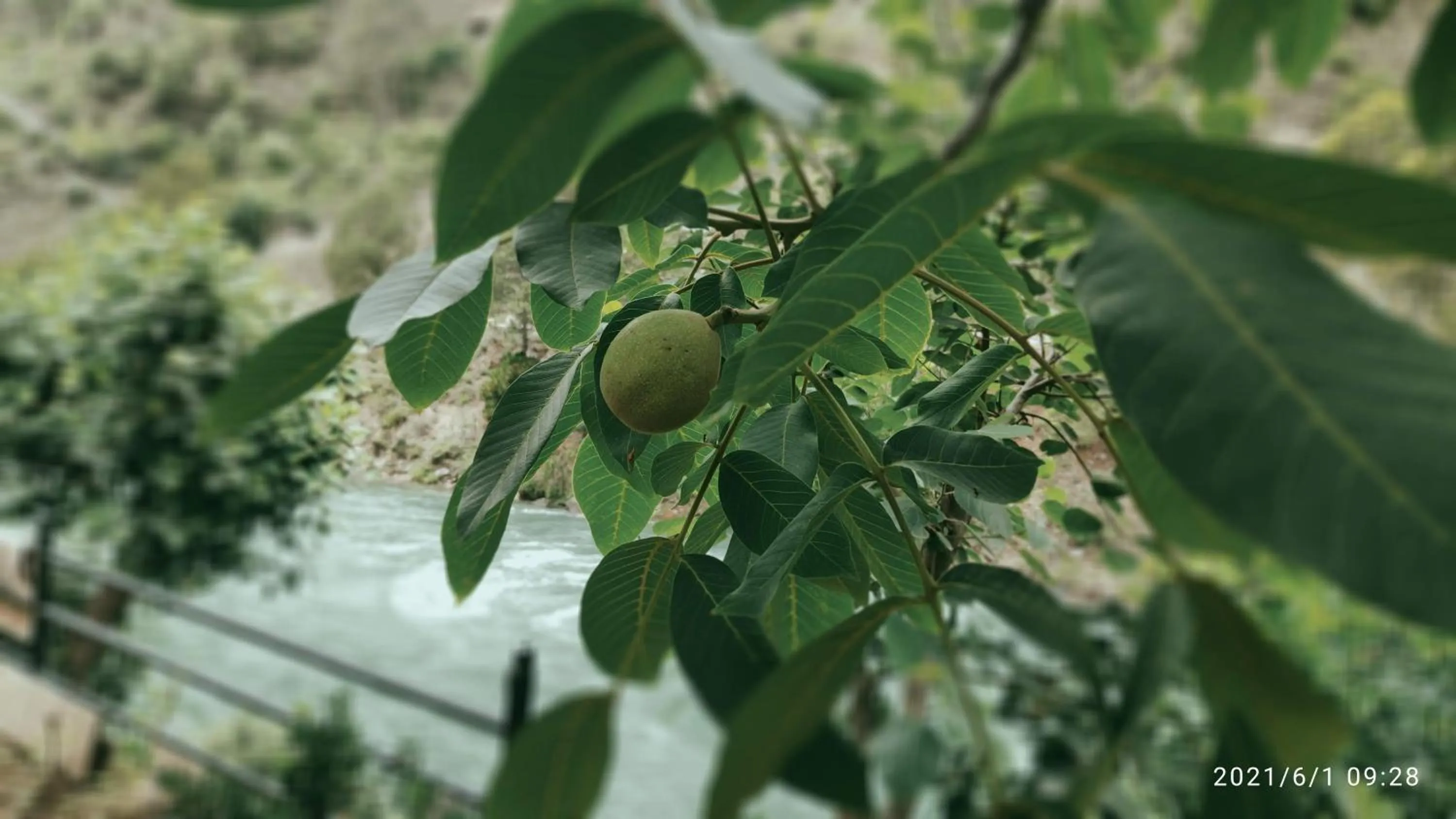 Tirthan Grand Riverside