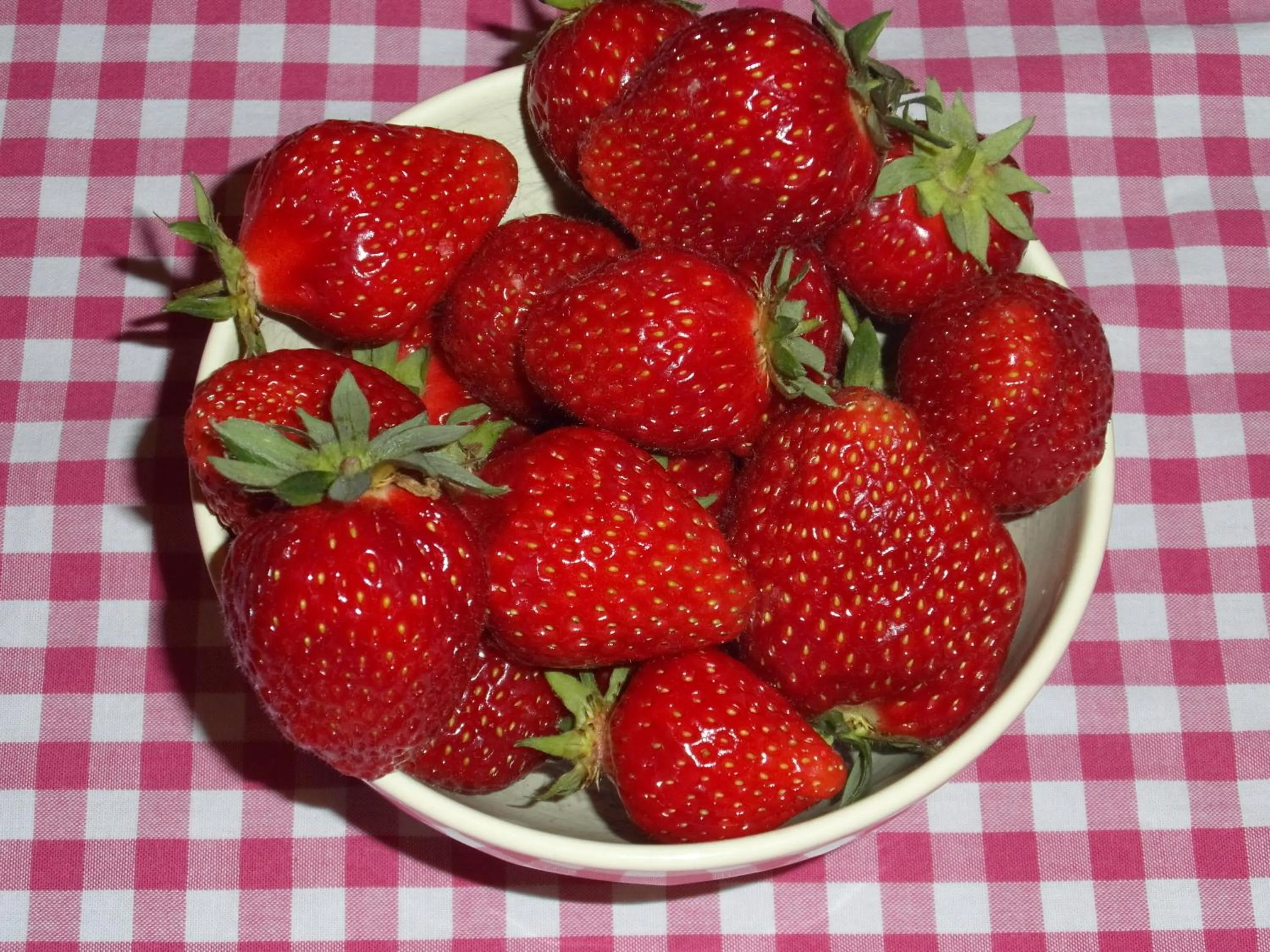 Food and drinks in B & B 'Droom in de polder de Suite met prive sauna