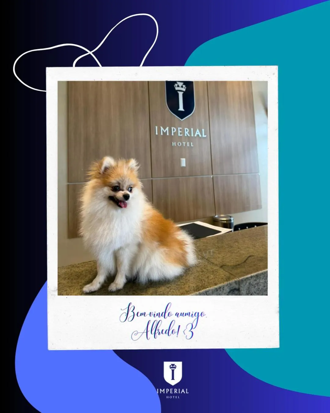 Pets in Imperial Hotel