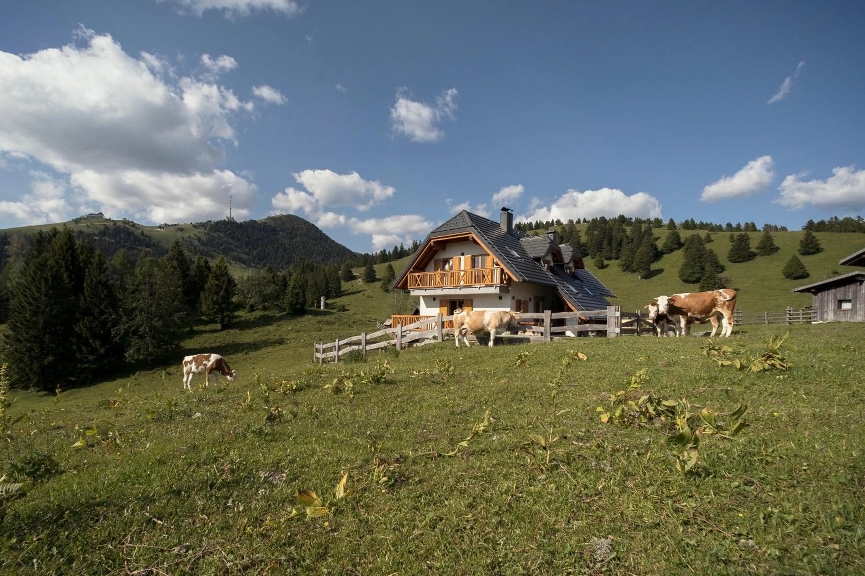 Apartment Jezerca - Krvavec
