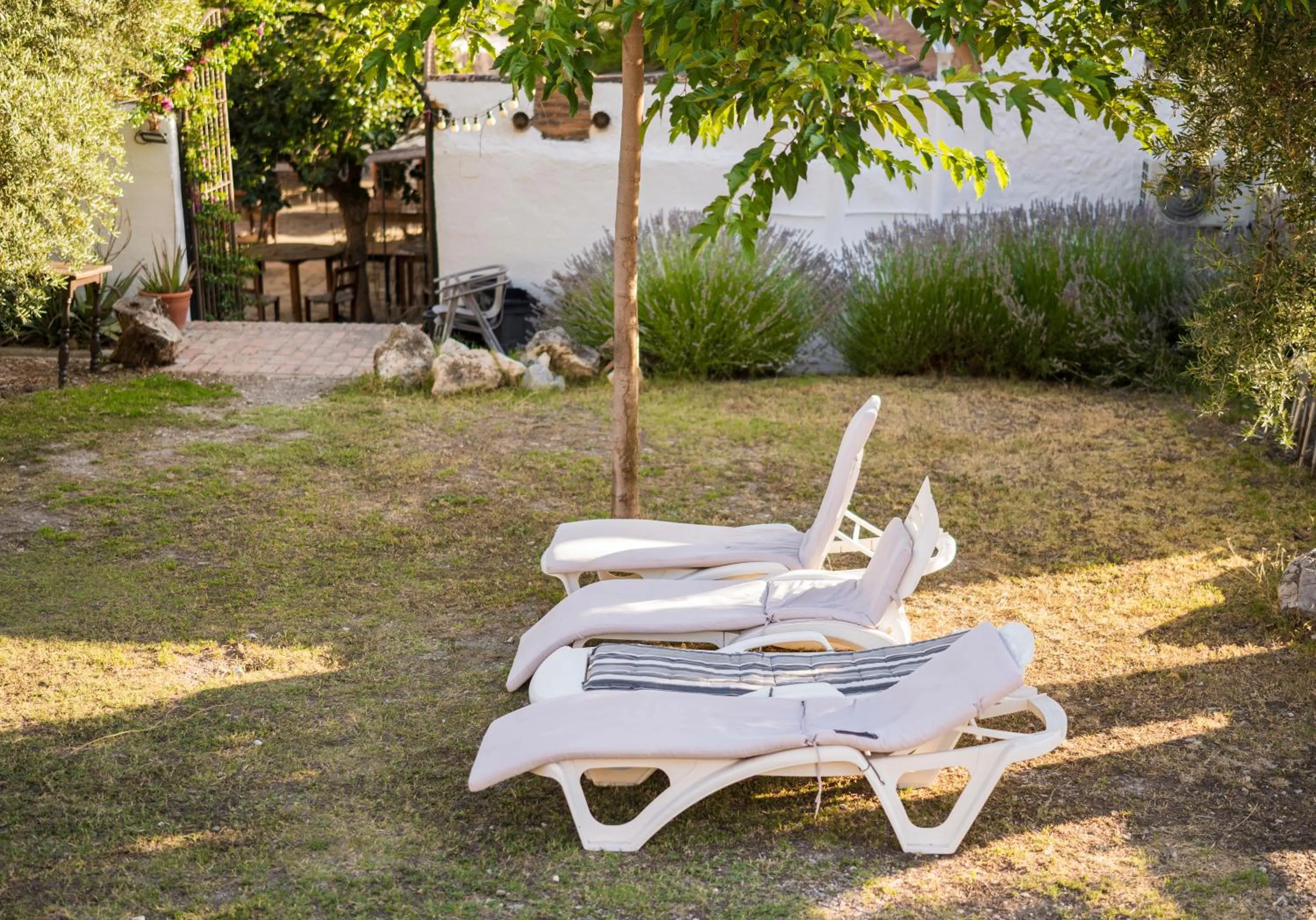 Garden in Hotel Rural Alqueria de los lentos