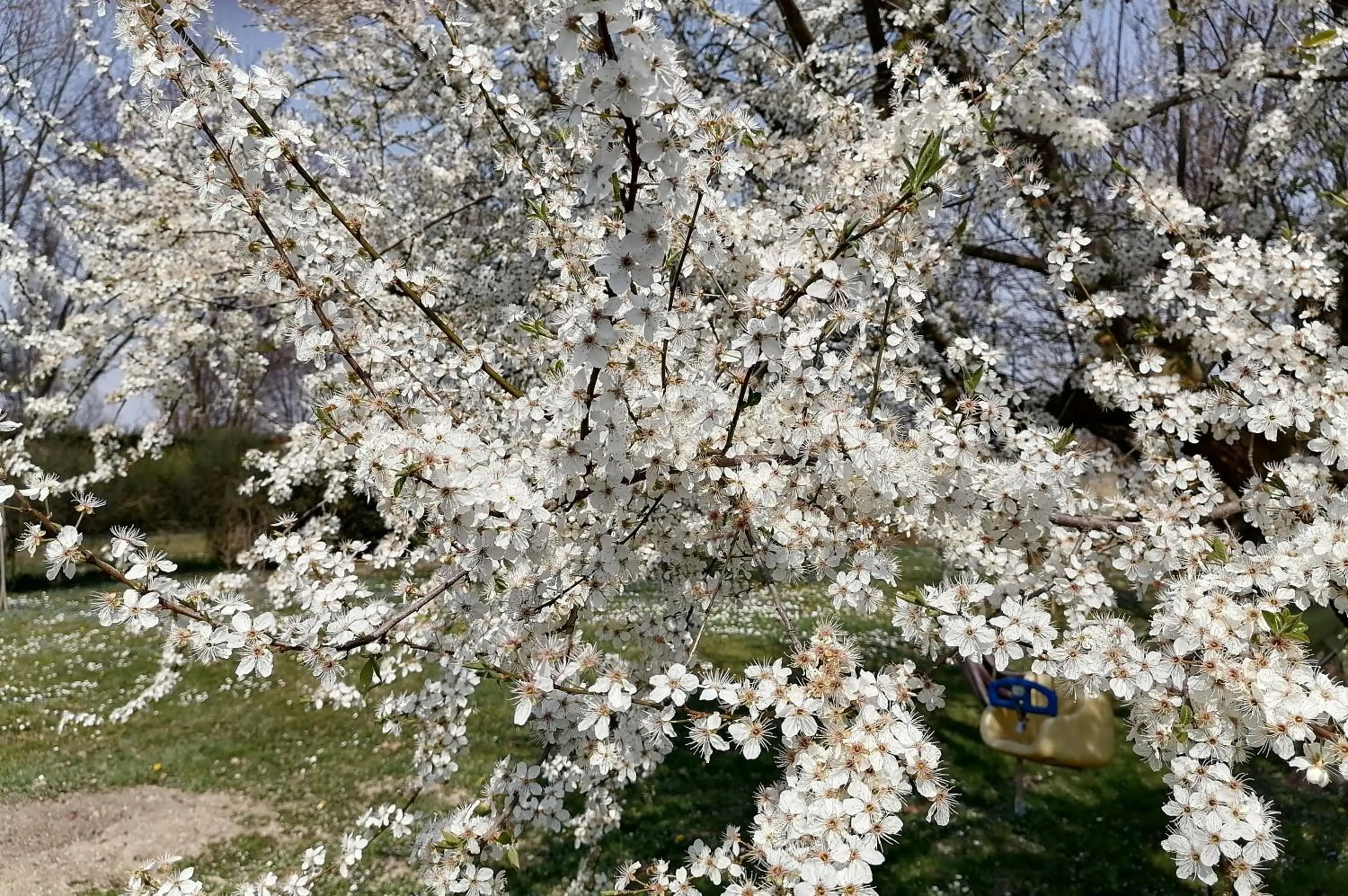 Natural landscape in B&b Hobo