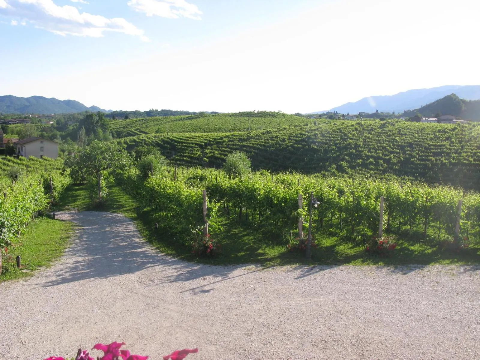 Inner courtyard view in La Casa Vecchia