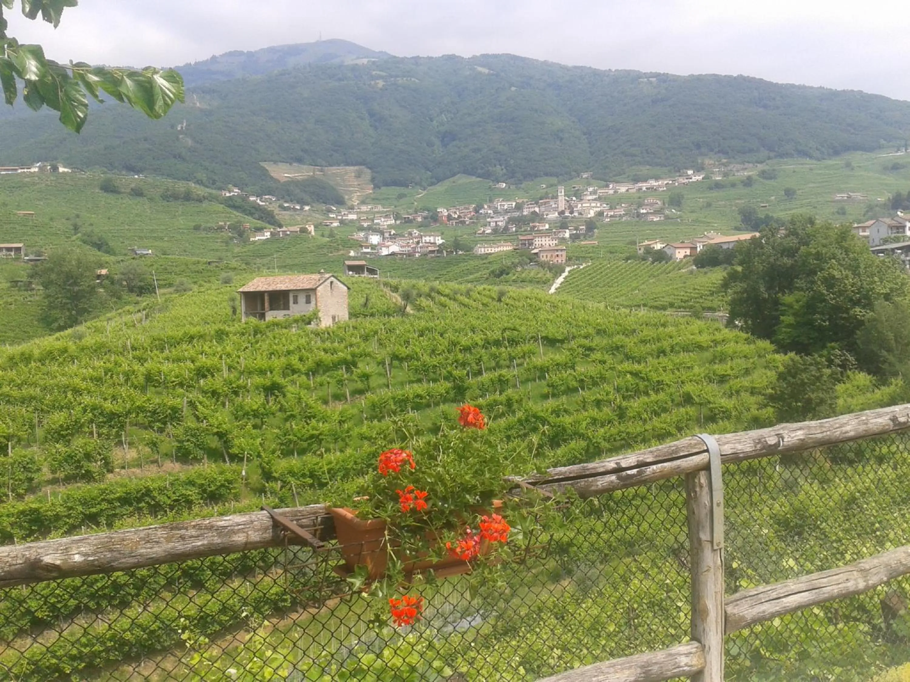 View (from property/room) in La Casa Vecchia