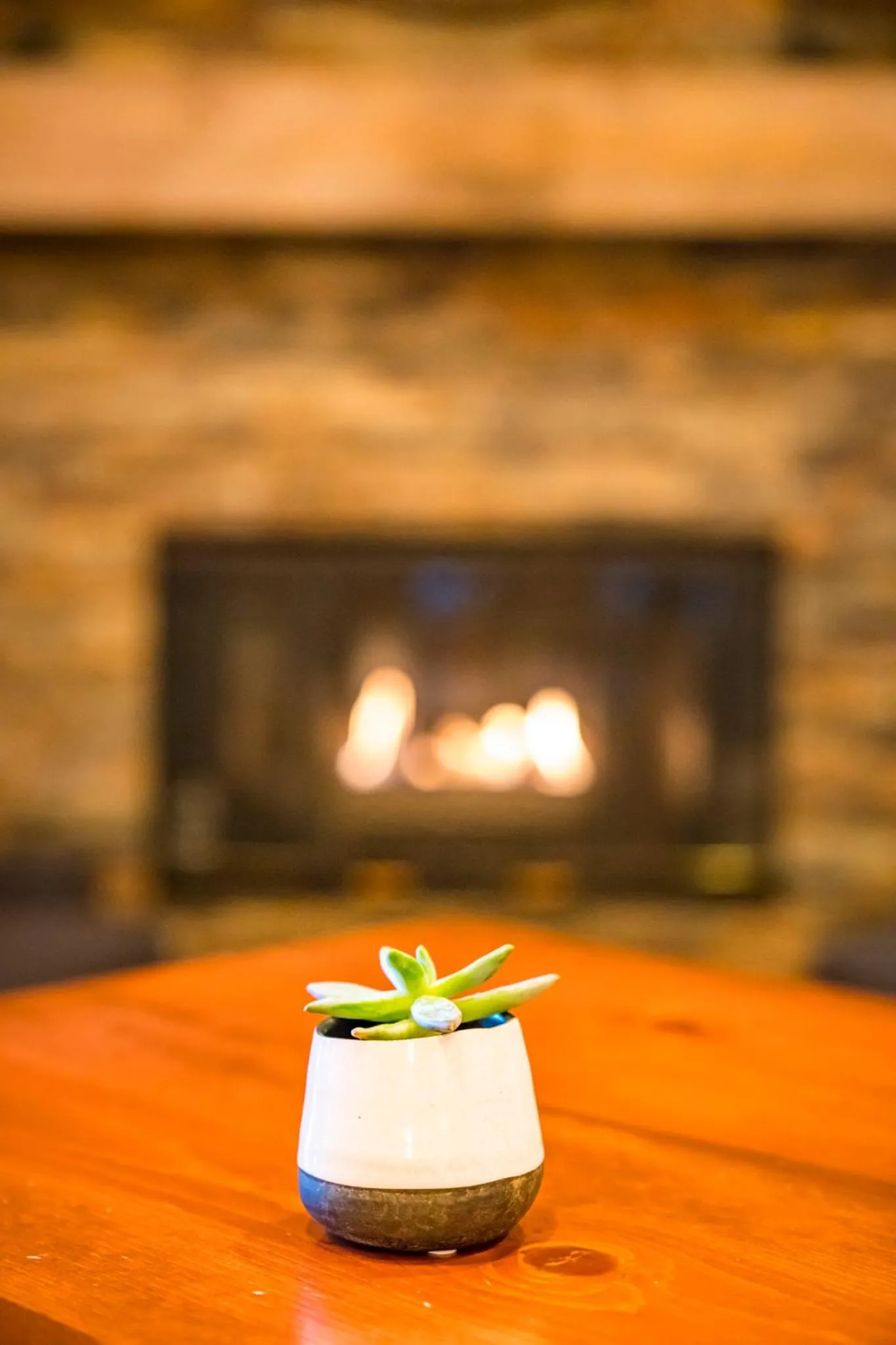 Continental breakfast in Pine Ridge Inn