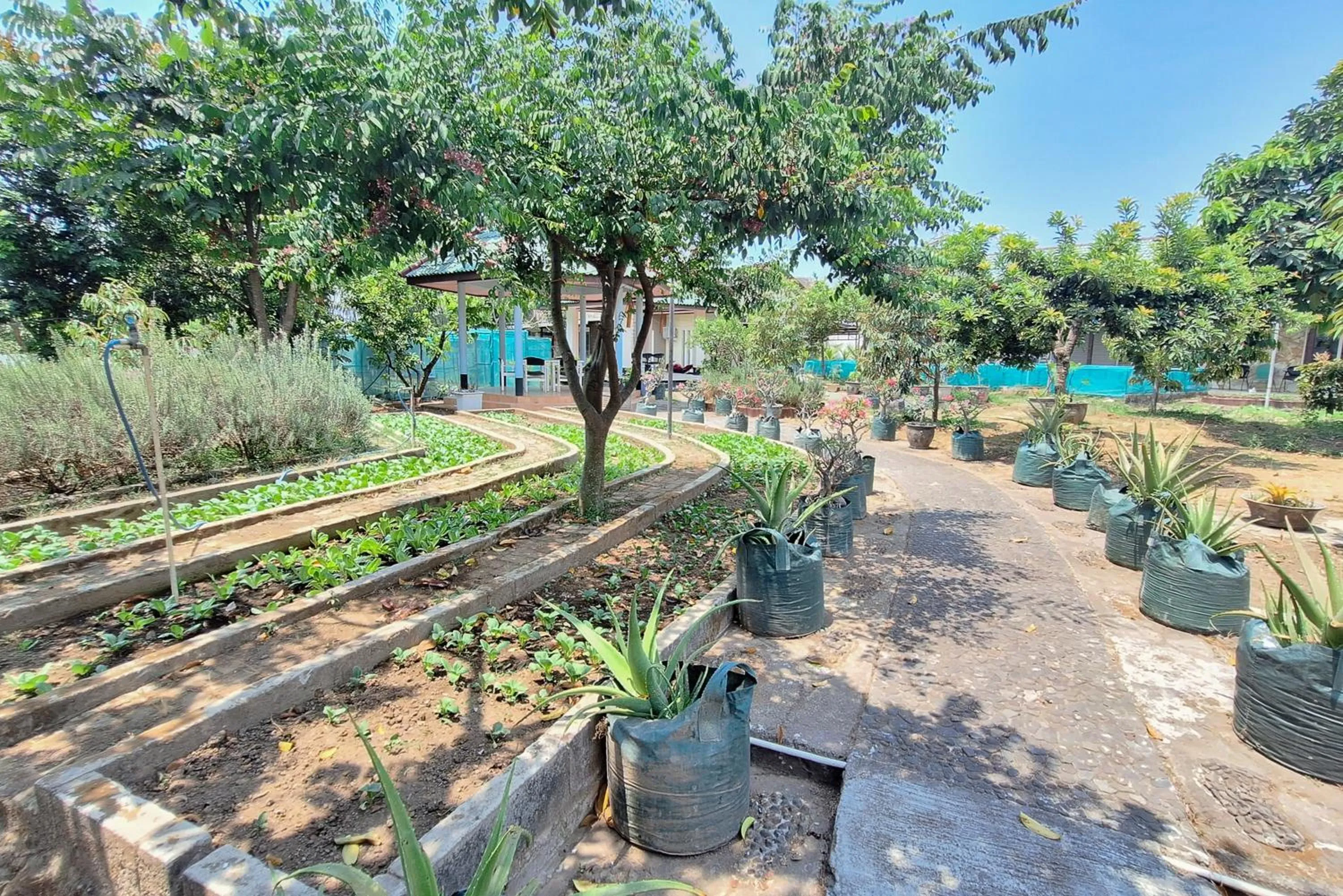 Garden in Papa Kana Farm Mitra RedDoorz At Pacet Mojokerto