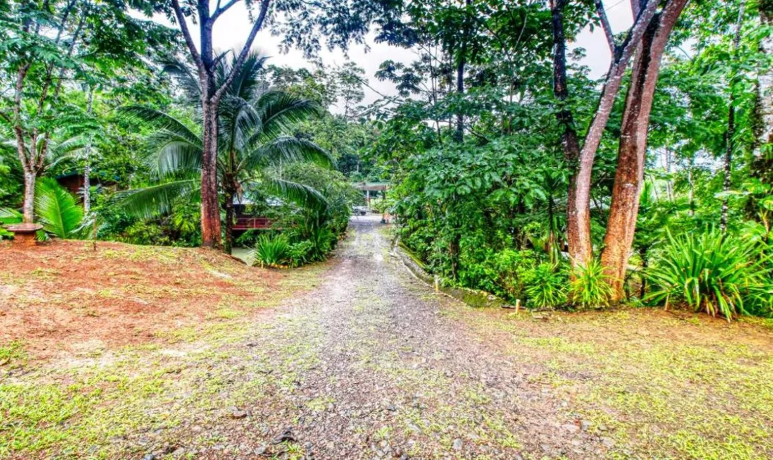 Natural landscape in Hotel San Rafael Ecolodge