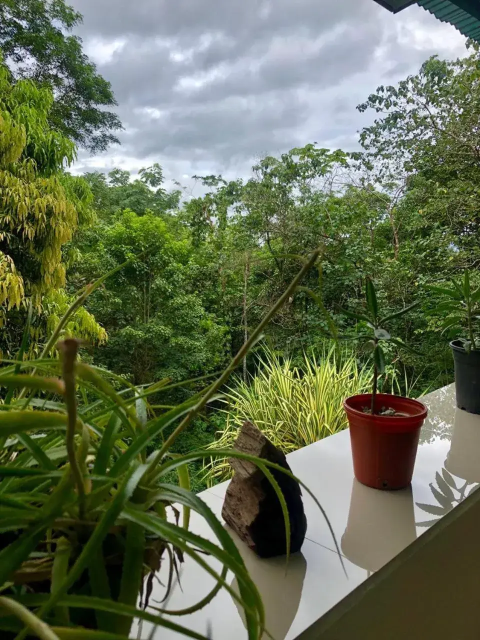 Hotel San Rafael Ecolodge Hotel San Rafael Ecolodge