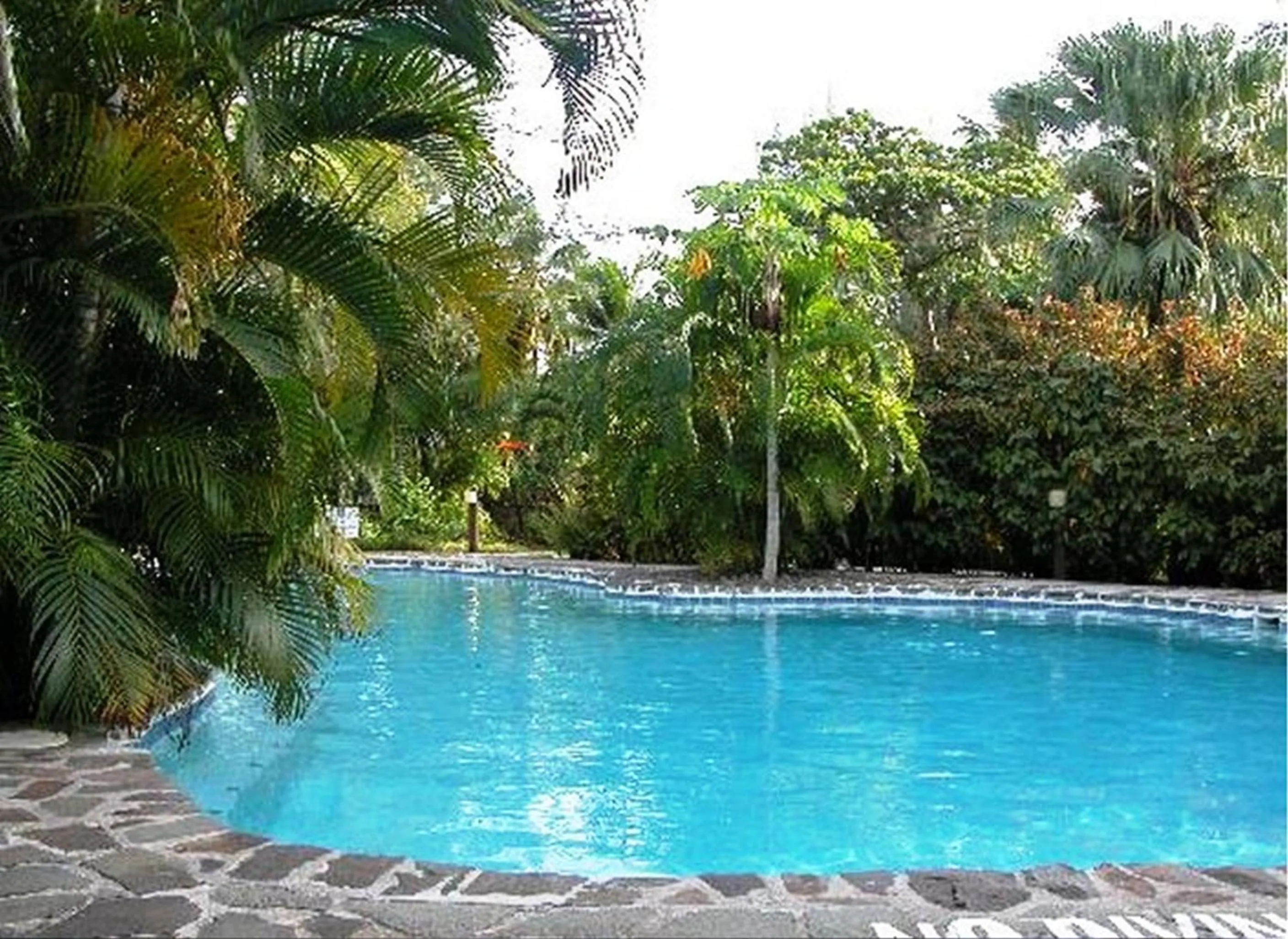 Swimming pool in East Winds St. Lucia- All Inclusive