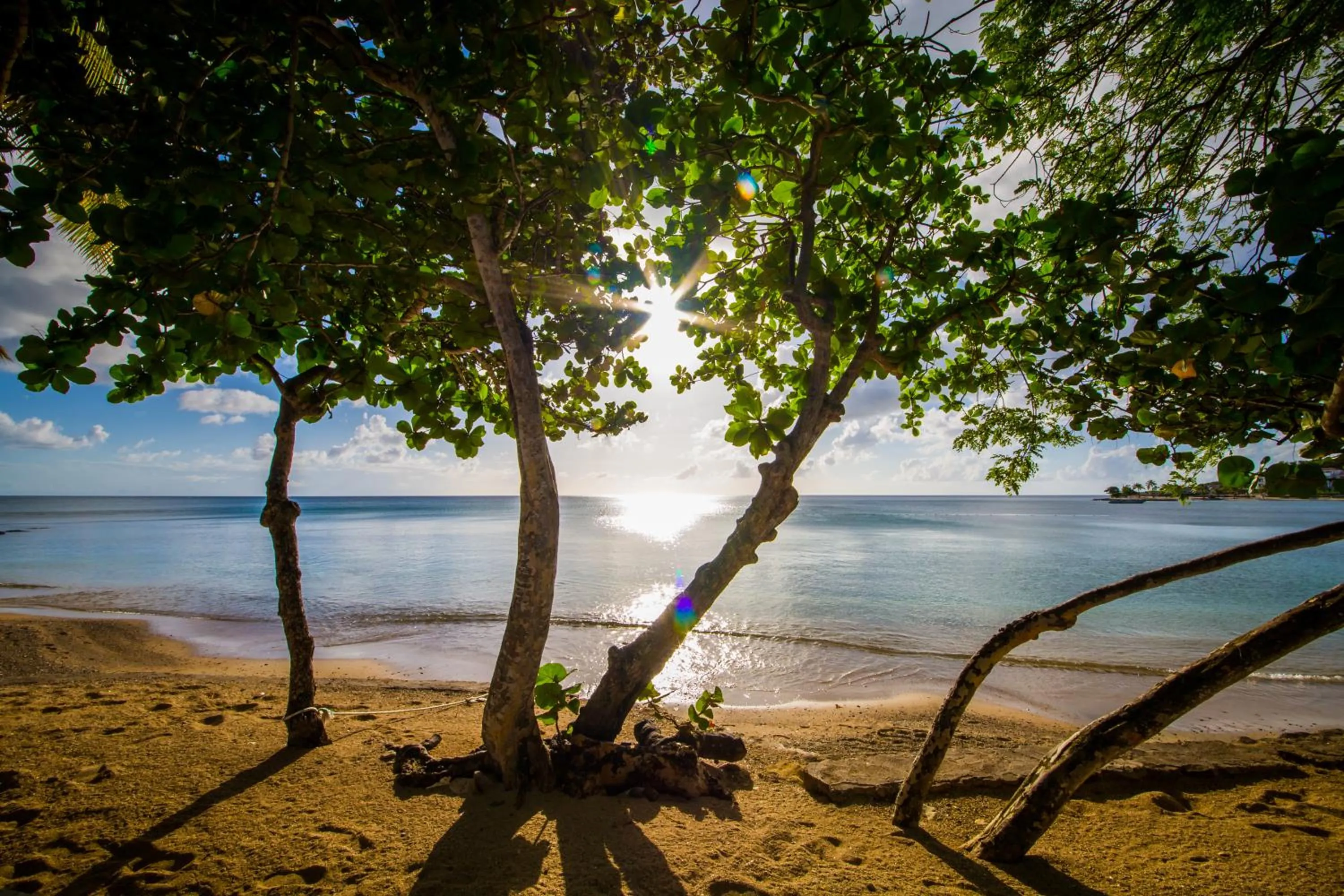 Beach in East Winds St. Lucia- All Inclusive