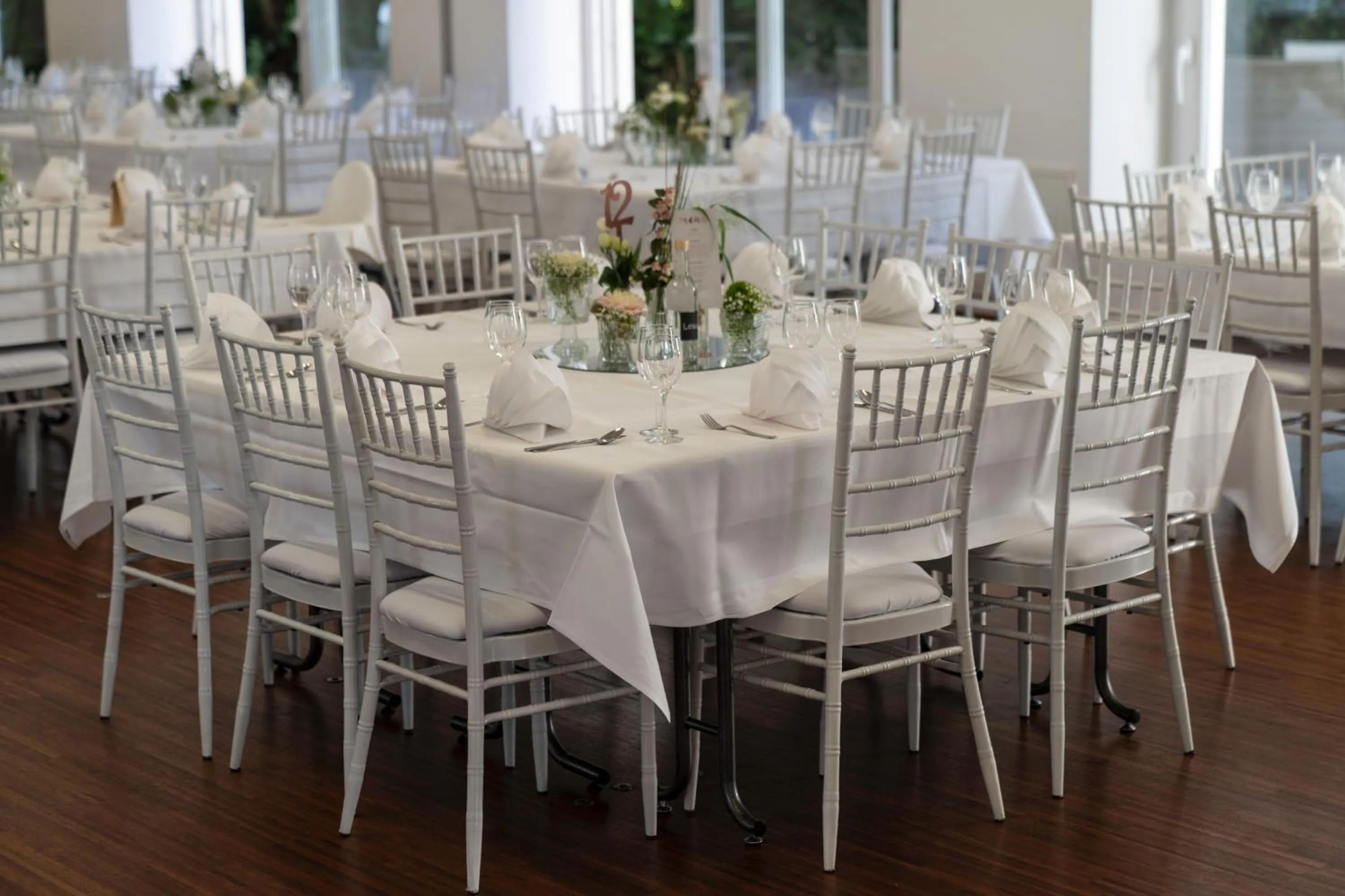 Banquet/Function facilities in Albhotel Fortuna