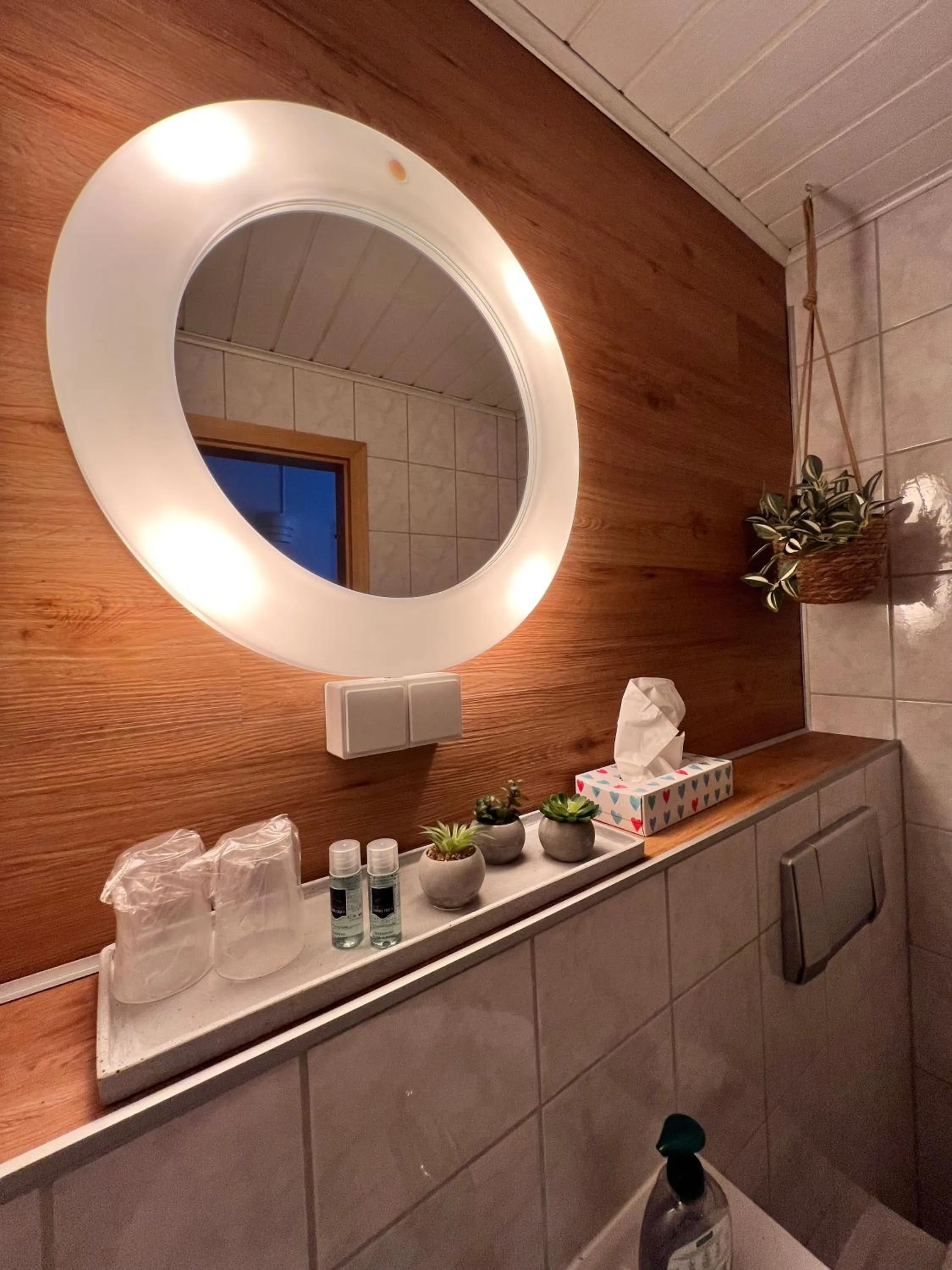 Bathroom in Hotel Abtshof