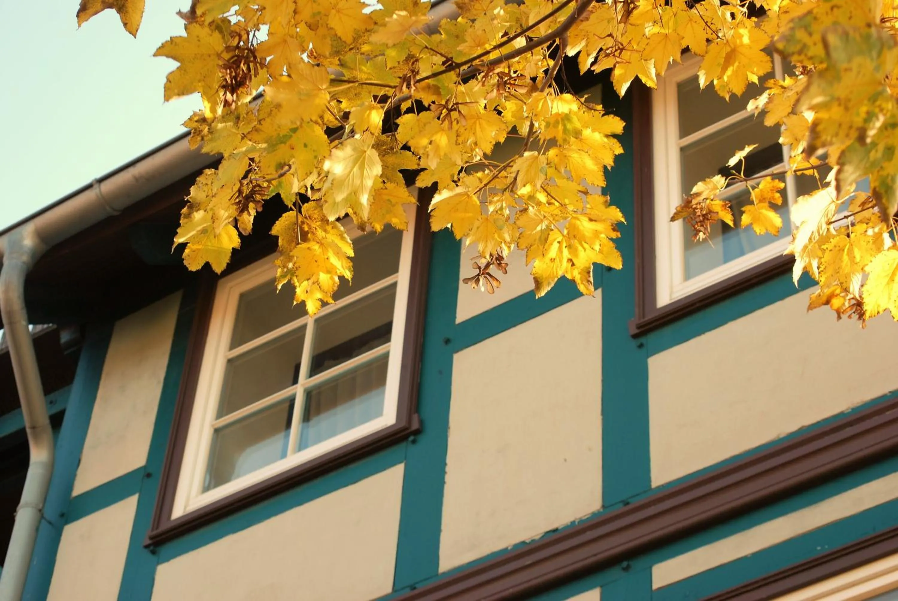 Spring in Hotel Abtshof