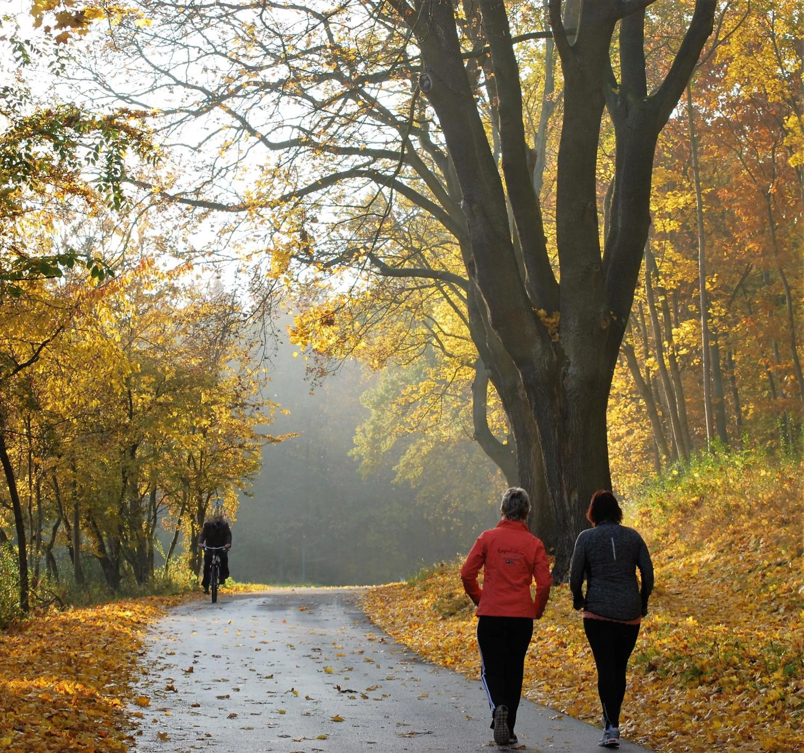 Tennis court in Hotel Abtshof