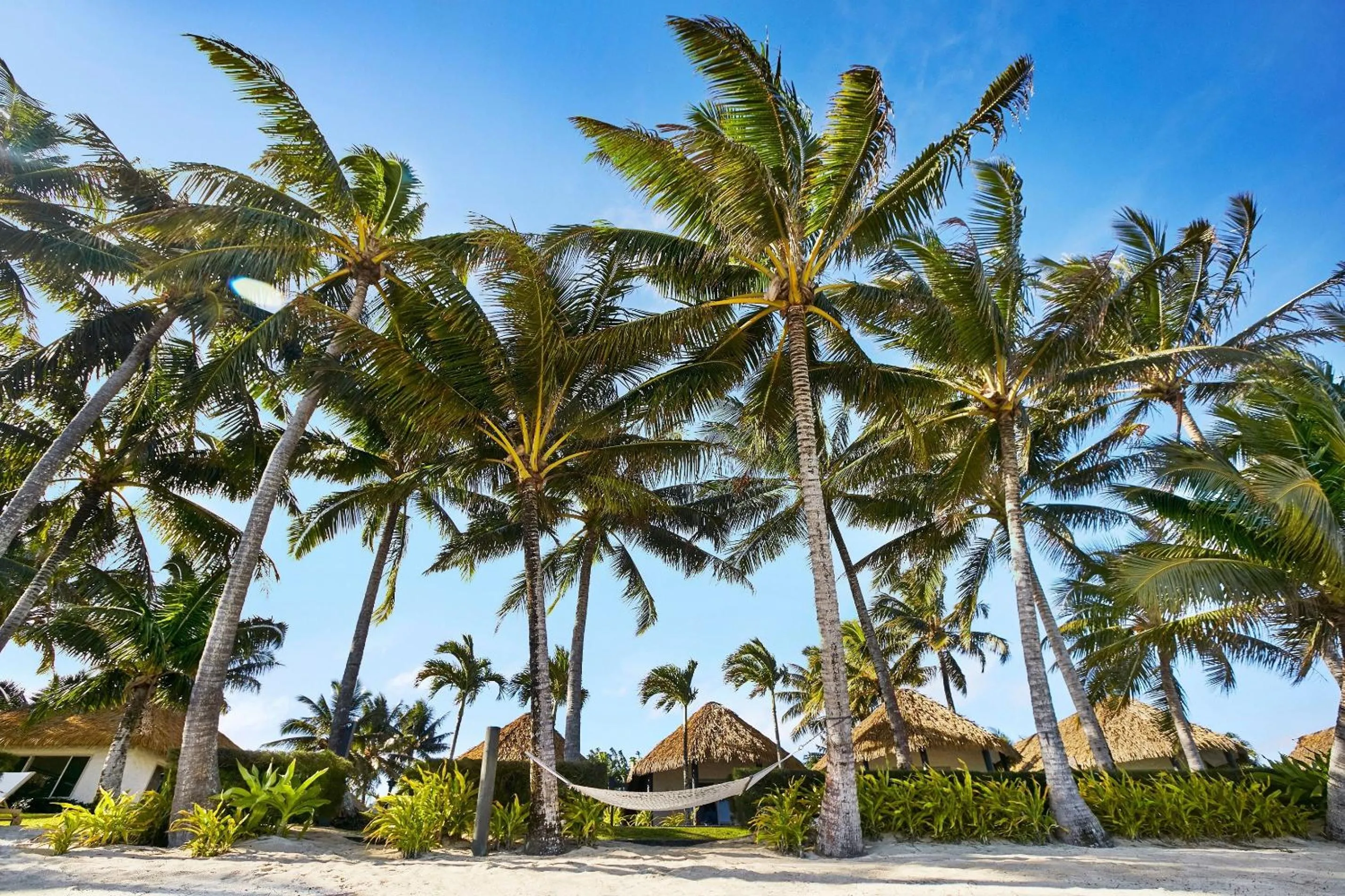 Motu Beachfront Art Villas