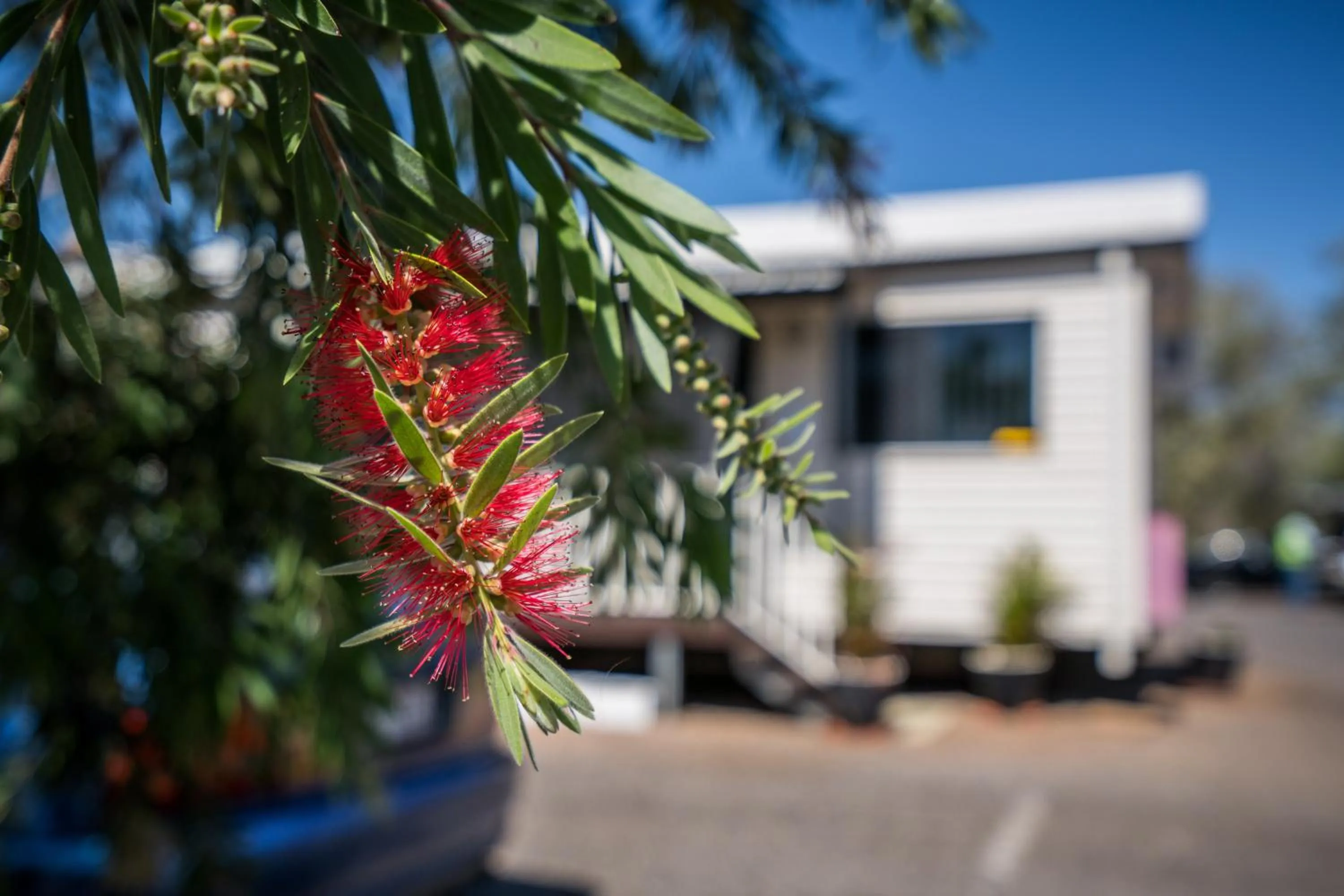 Facade/entrance in Mt Isa City Motel