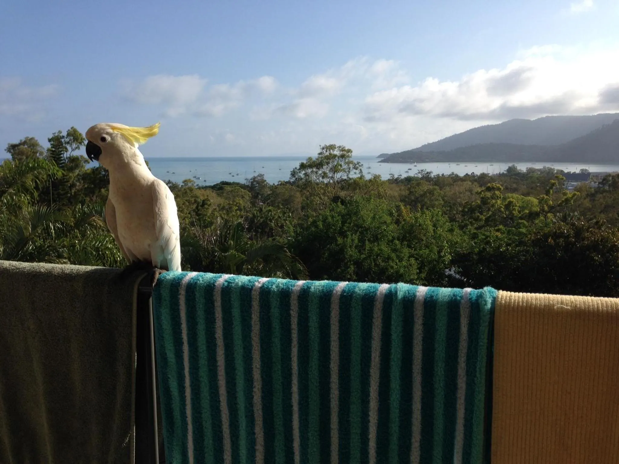 Natural landscape in Island Views