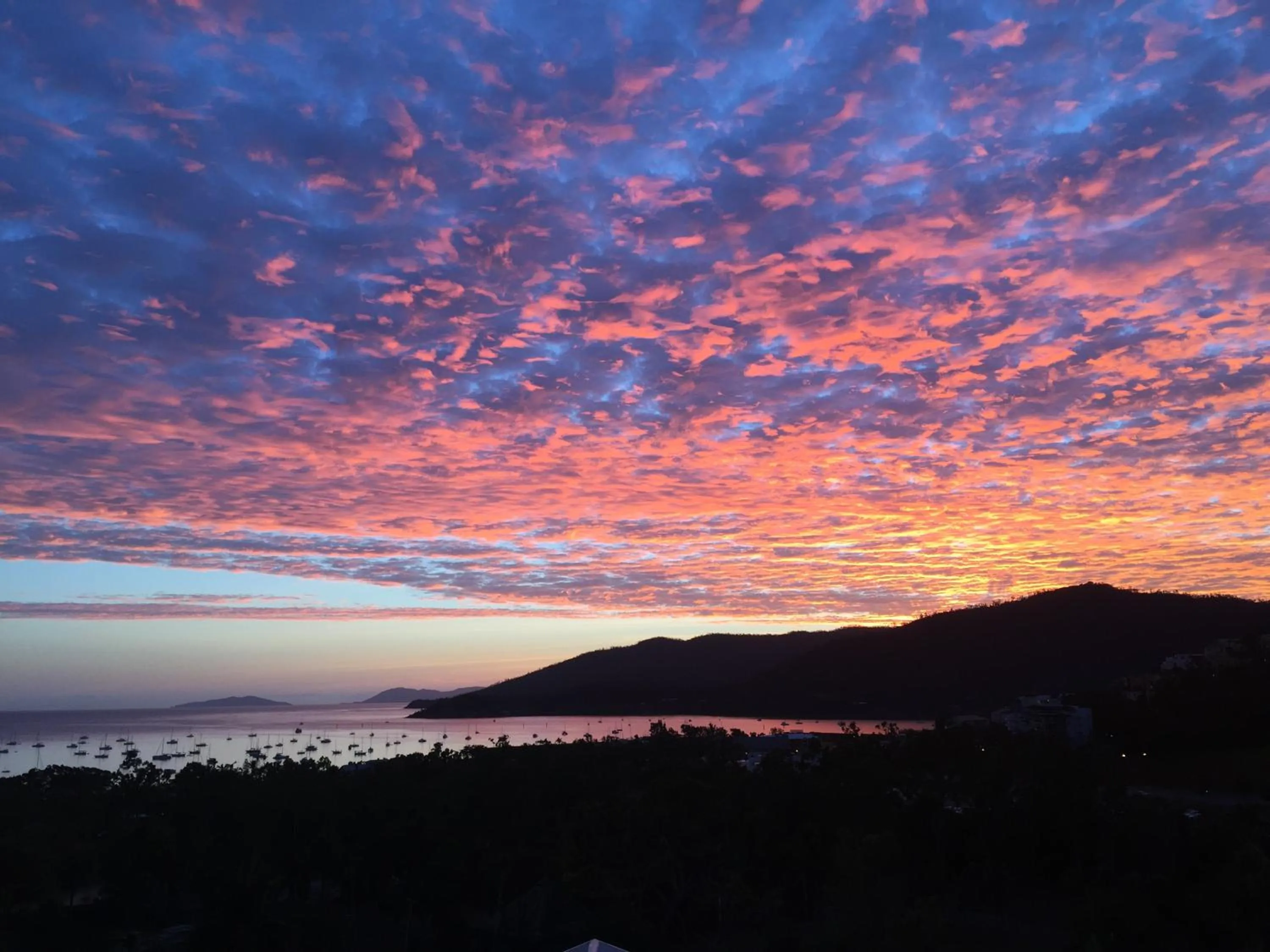 Natural landscape in Island Views