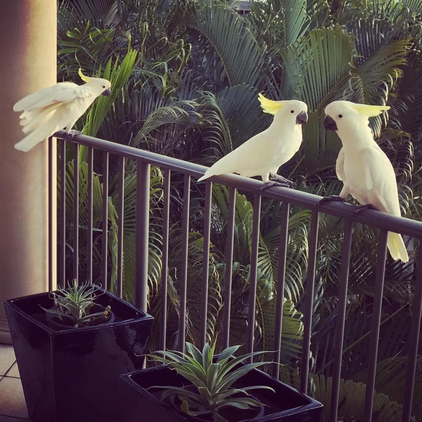 View (from property/room) in Island Views