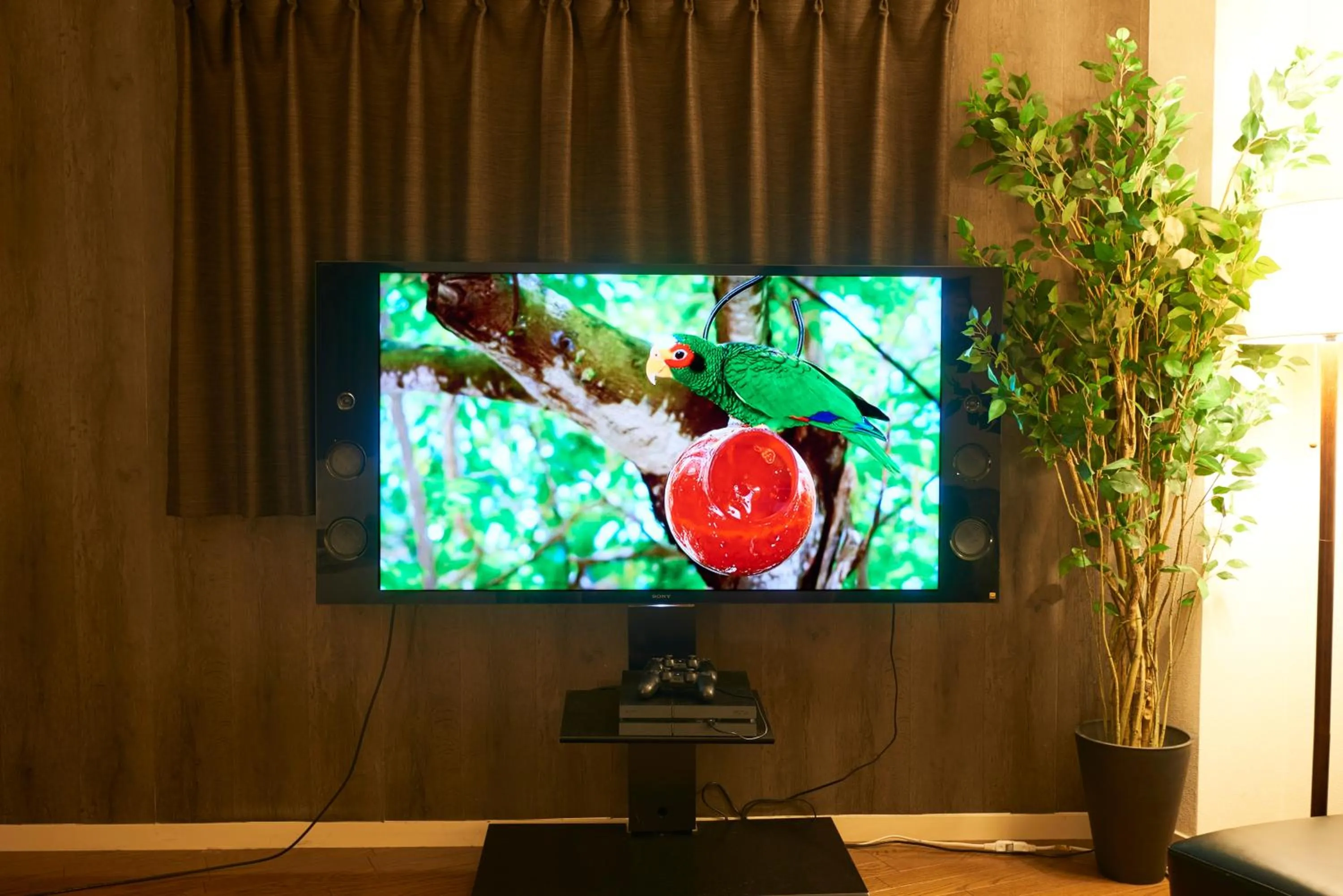 TV and multimedia in S'CASA NishiShinjuku