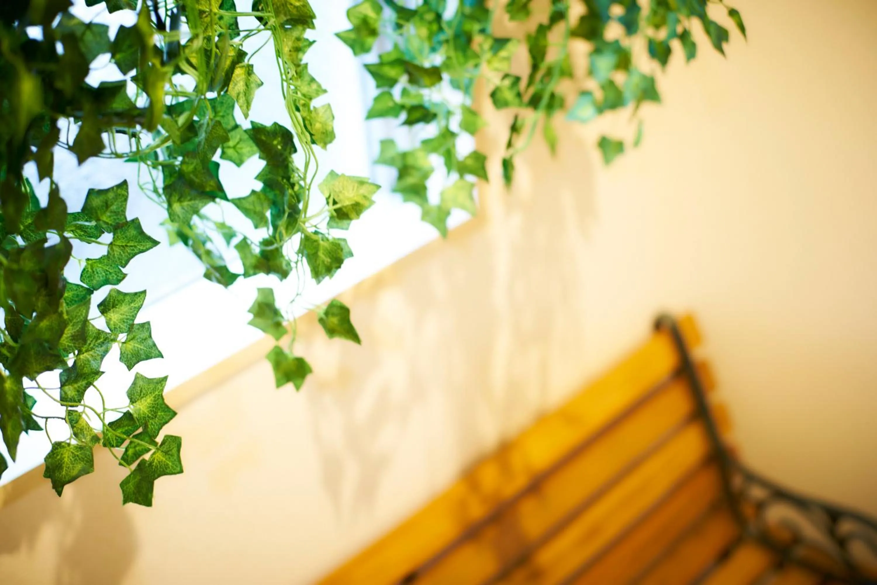 Photo of the whole room in S'CASA NishiShinjuku