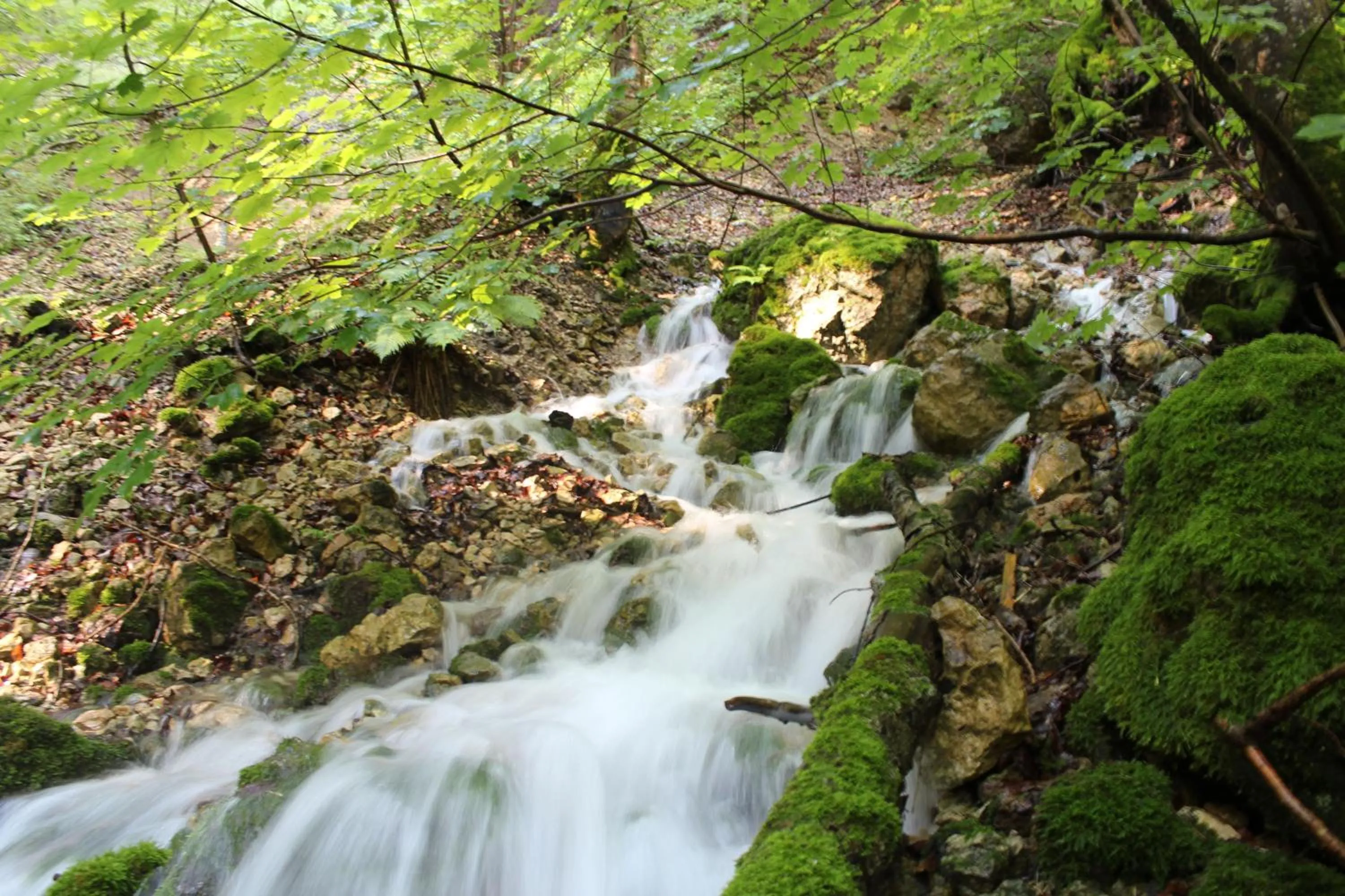 Natural landscape in Forellenhof Rössle Hotel & Restaurant